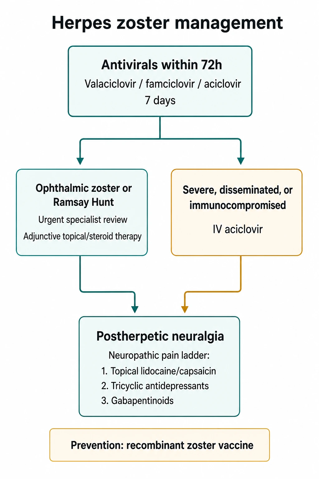 Stepwise treatment algorithm for herpes zoster: antiviral initiation within 72h, dose adaptations for immunocompromised and renal impairment, adjunctive corticosteroids for special syndromes, escalation to IV aciclovir for HZO/Ramsay Hunt/disseminated, and PHN pharmacotherapy ladder with gabapentin pregabalin TCA lidocaine capsaicin