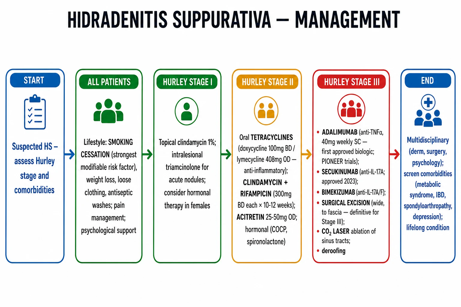 HS management algorithm: lifestyle measures for all patients (smoking cessation, weight loss, antiseptic washes, loose clothing) → Hurley I: topical clindamycin 1% and intralesional triamcinolone ± topical resorcinol → Hurley II: oral tetracyclines (doxycycline / lymecycline) or clindamycin + rifampicin combination or acitretin / hormonal therapy → Hurley III: biologics (adalimumab first-line, secukinumab second-line, bimekizumab third-line, JAK inhibitors emerging) ± wide local excision with secondary intention healing, deroofing, CO₂ laser ablation of sinus tracts