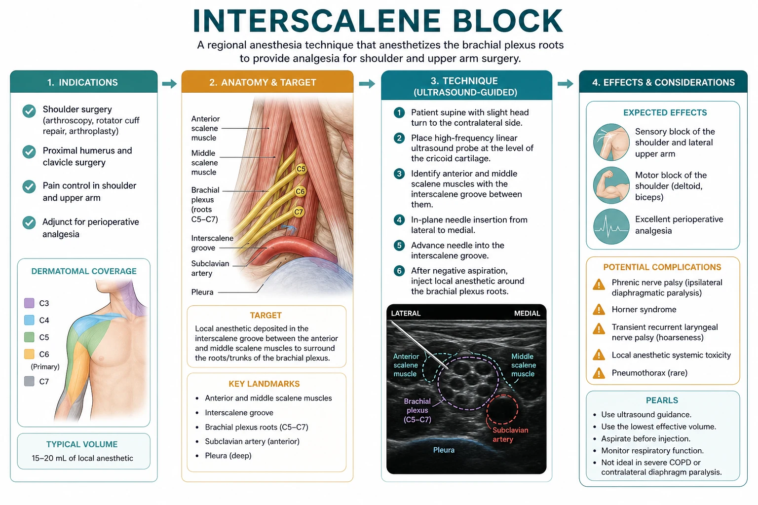 Interscalene indications and phrenic risk