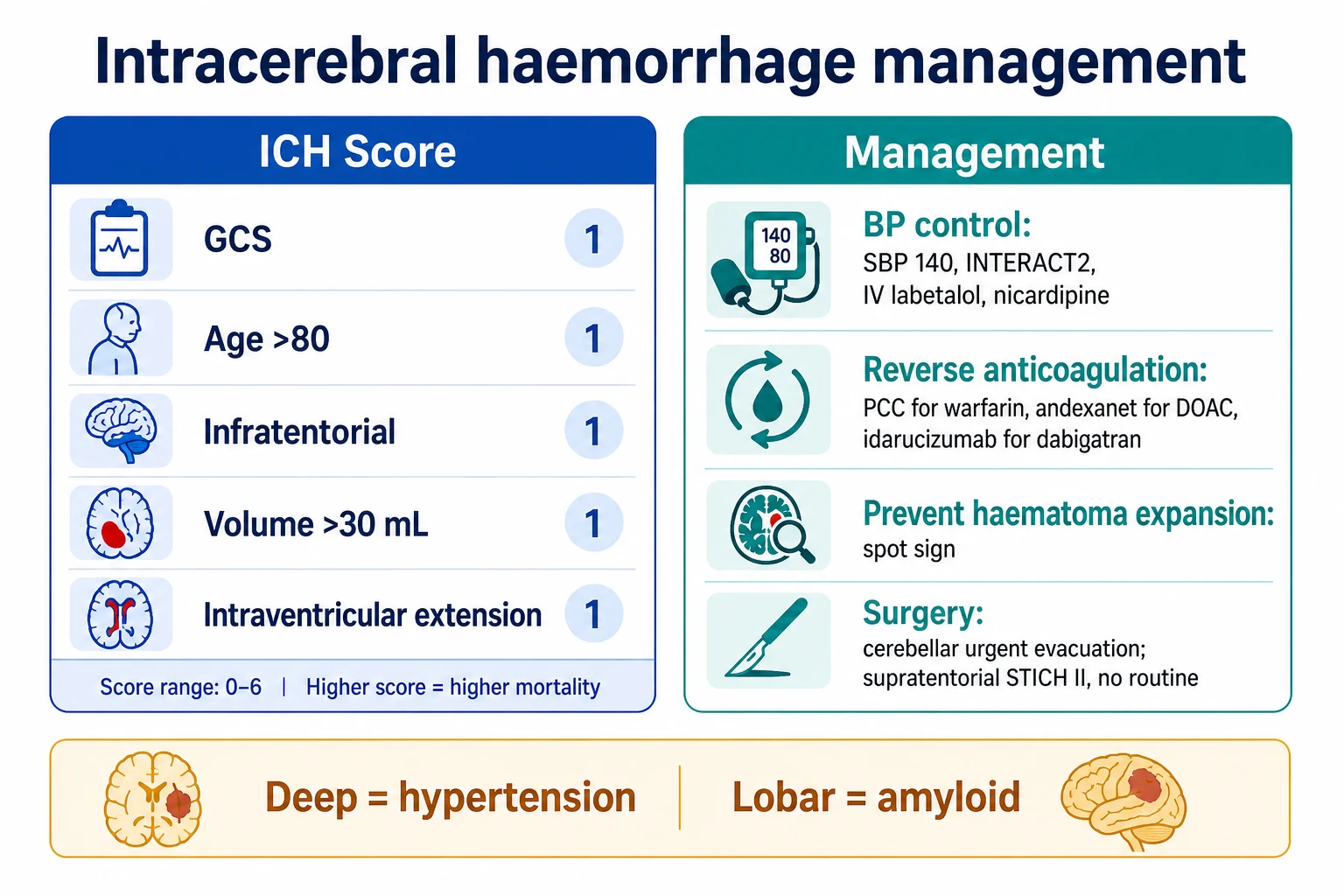 Two-panel infographic on a white clinical-blue background: LEFT ICH Score (GCS, age, location, volume, IVH); RIGHT management — BP control SBP 140 (INTERACT2; IV labetalol/nicardipine); reverse anticoagulation (PCC warfarin; andexanet DOAC; idarucizumab dabigatran); prevent expansion (spot sign); surgery (cerebellar urgent; supratentorial STICH II no routine); banner 'Deep = hypertension; lobar = amyloid'. Flat vector illustration, crisp typography.