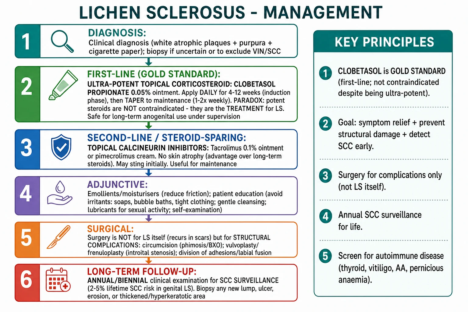 Treatment algorithm for lichen sclerosus: clobetasol 0.05% ointment induction taper (4 weeks OD → 4 weeks alternate nights → 4 weeks twice weekly) → twice-weekly lifelong maintenance; emollients; tacrolimus 0.1% as steroid-sparing; surgery for structural complications only; annual or biennial SCC surveillance for life