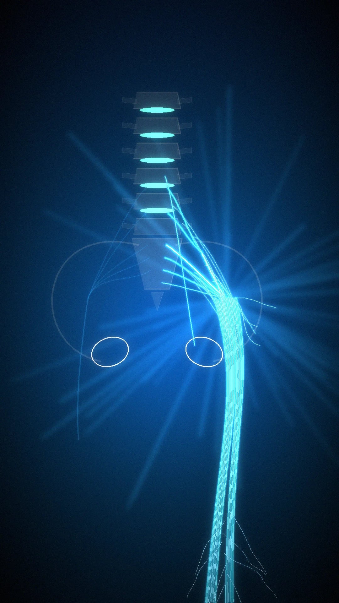 Lumbosacral plexus overview