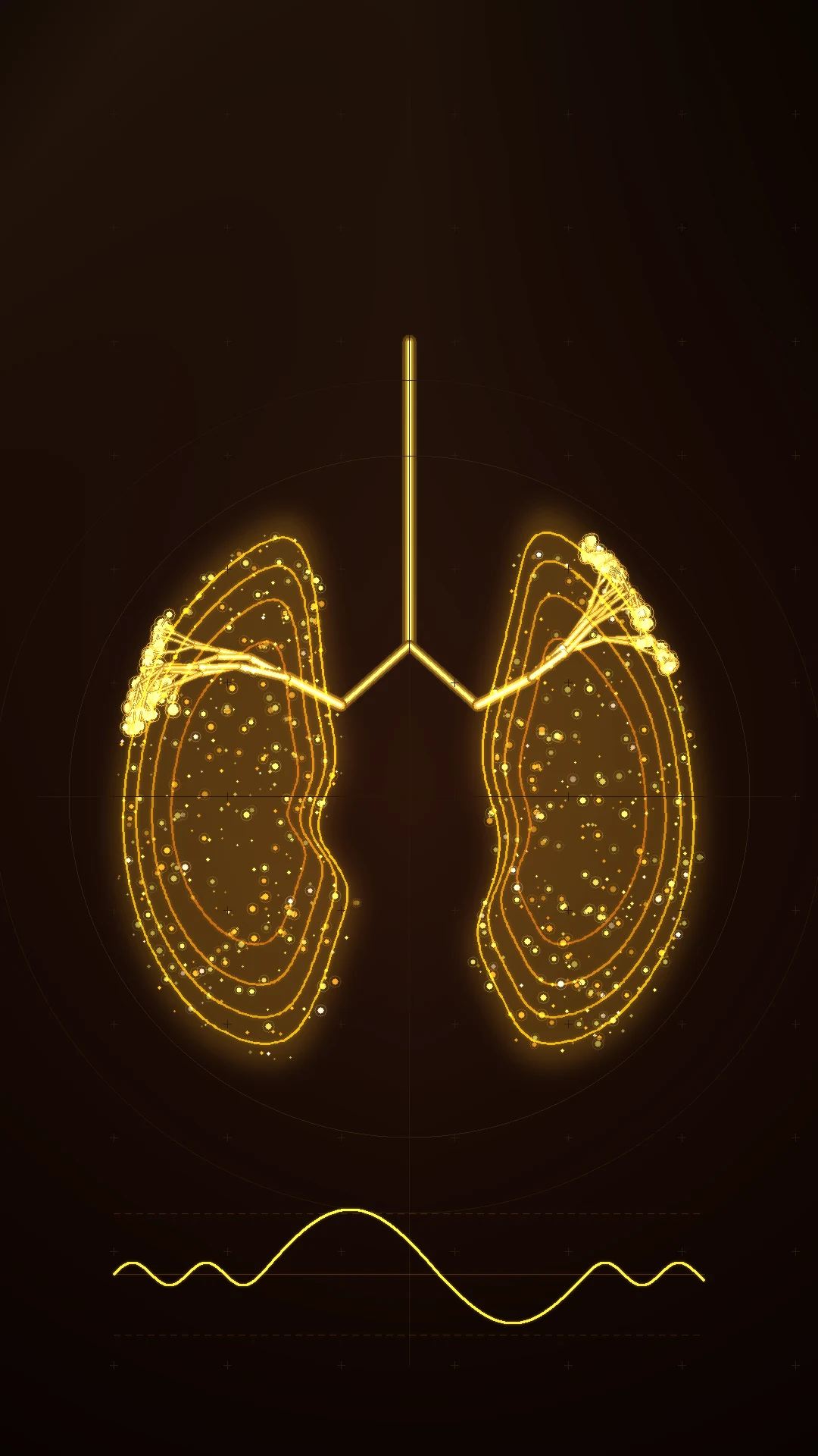 Lung volumes and capacities educational overview