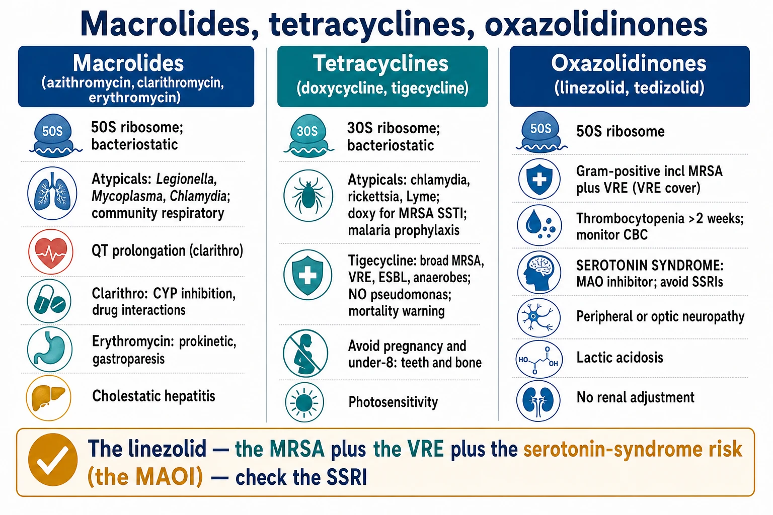 Three-panel infographic on a white clinical-blue background: LEFT macrolides (50S ribosome bacteriostatic; atypicals Legionella/Mycoplasma/Chlamydia + community respiratory; QT prolongation clarithro; clarithro CYP inhibition drug interactions; erythromycin prokinetic gastroparesis; cholestatic hepatitis); CENTRE tetracyclines (30S ribosome bacteriostatic; atypicals chlamydia/rickettsia/Lyme + doxycycline MRSA SSTI + malaria prophylaxis; tigecycline broad MRSA/VRE/ESBL/anaerobes no pseudomonas + mortality warning; avoid pregnancy/under-8 teeth/bone; photosensitivity); RIGHT oxazolidinones (50S ribosome; Gram-positive incl MRSA + VRE; thrombocytopenia over 2 weeks monitor CBC; SEROTONIN SYNDROME MAO inhibitor avoid SSRIs; peripheral/optic neuropathy; lactic acidosis; no renal adjustment). Banner 'Linezolid = MRSA + VRE + serotonin-syndrome risk (MAOI) — check the SSRI'. Flat vector illustration, crisp typography.