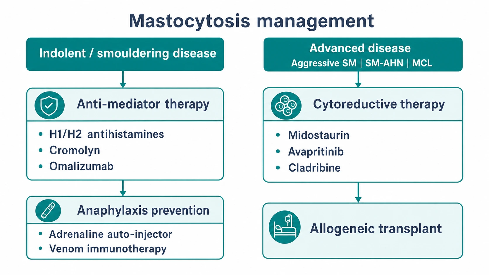 Mastocytosis management algorithm: indolent or smouldering disease pathway (anti-mediator therapy with H1 and H2 antihistamines, cromolyn, omalizumab; anaphylaxis prevention with adrenaline auto-injector and venom immunotherapy) versus advanced disease pathway (cytoreductive therapy with midostaurin, avapritinib, cladribine; allogeneic transplant)