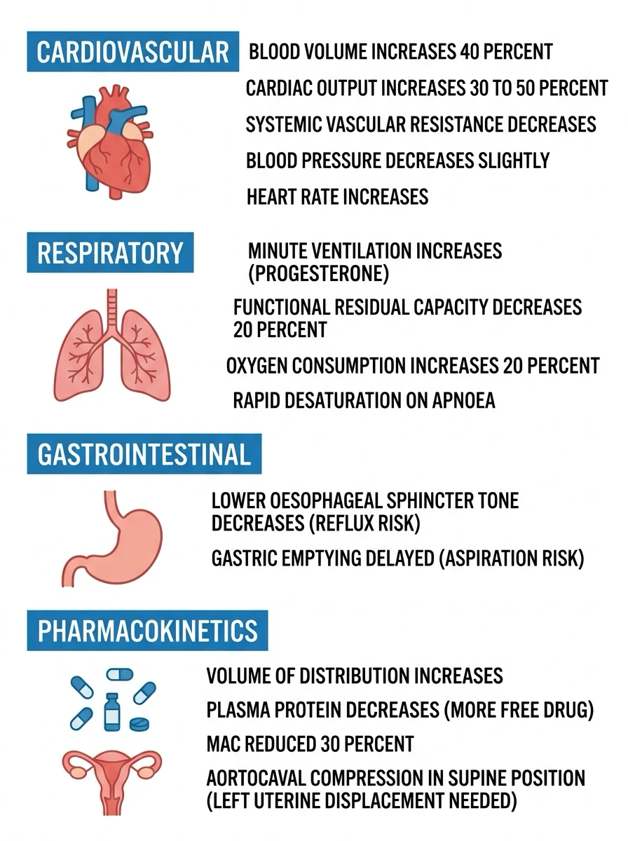 Summary diagram of major pregnancy physiological changes by system