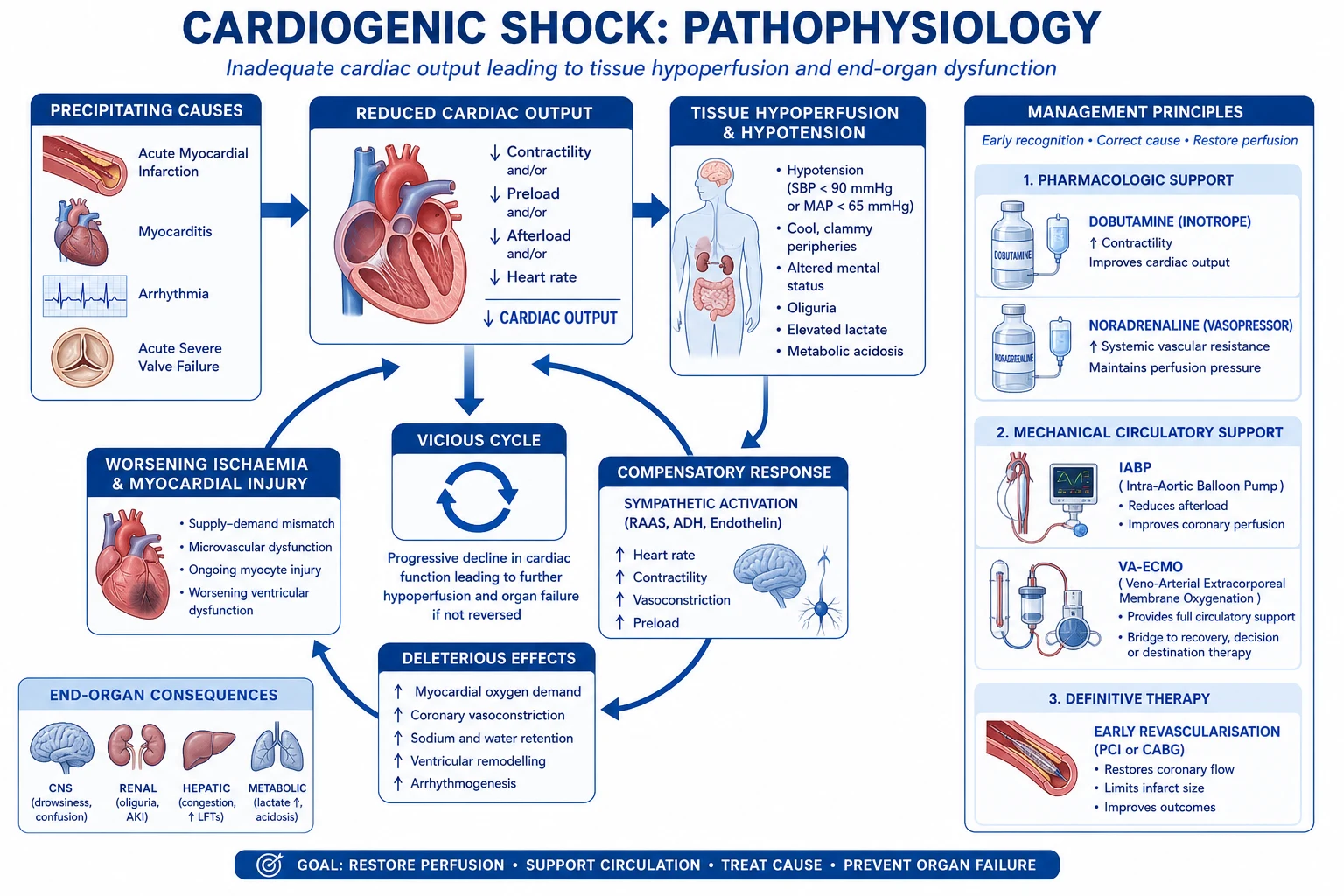 Cardiogenic shock spiral of low output, vasoconstriction, and multi-organ hypoperfusion