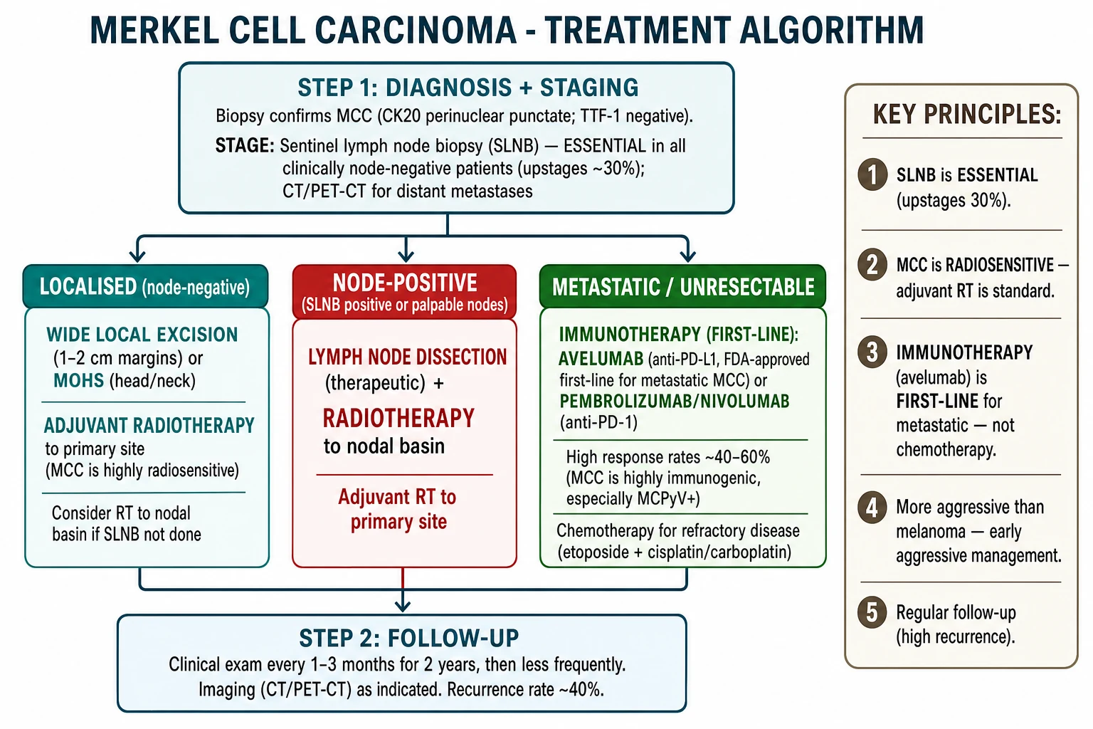 Merkel cell carcinoma treatment algorithm from biopsy to localised and metastatic management