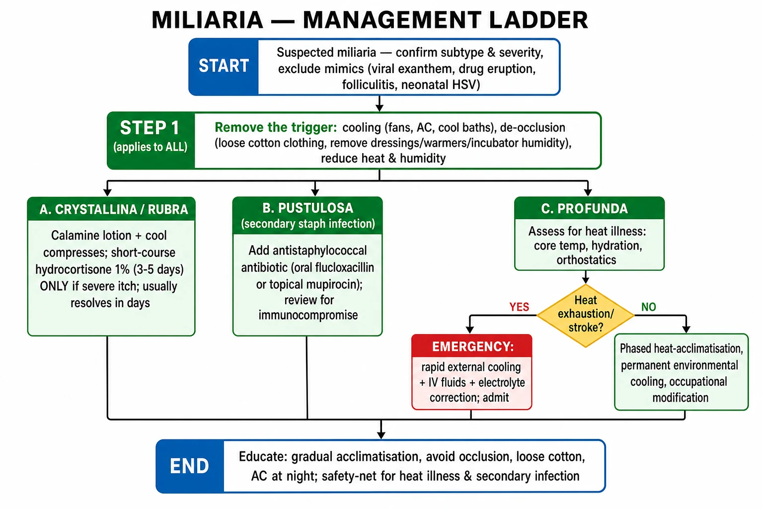 Miliaria management ladder flowchart: trigger removal for all subtypes, then calamine with optional short-course hydrocortisone for rubra, antistaphylococcal antibiotic for pustulosa, and a heat-stroke emergency pathway for profunda