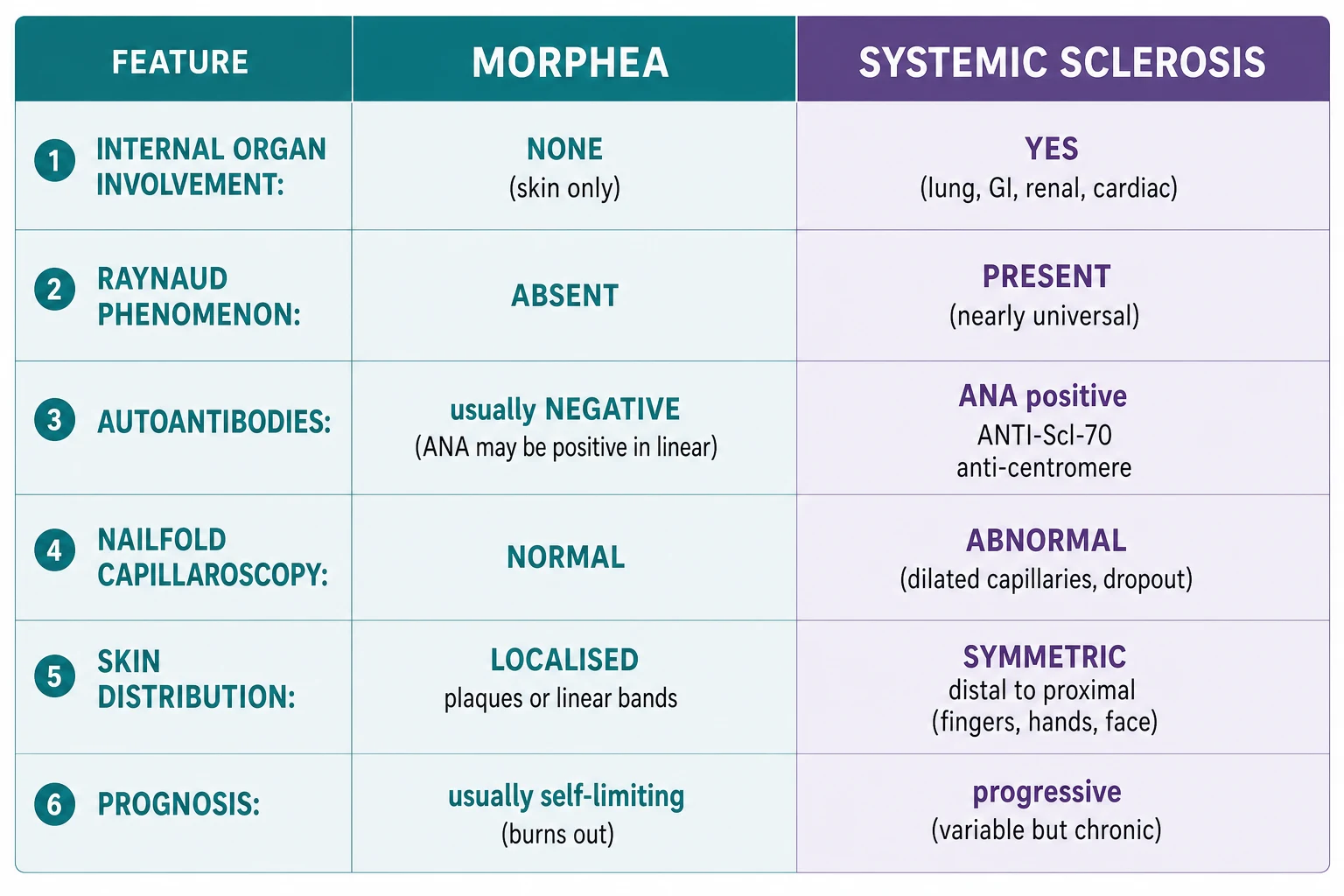 Comparison of morphea (no internal organs, no Raynaud, normal nailfold capillaries, localised plaques, self-limiting, negative anti-Scl-70 and anti-centromere) versus systemic sclerosis (internal organ fibrosis, Raynaud universal, abnormal nailfold with giant capillaries and dropout, anti-Scl-70 or anti-centromere positive, symmetric distal-to-proximal skin thickening, progressive)