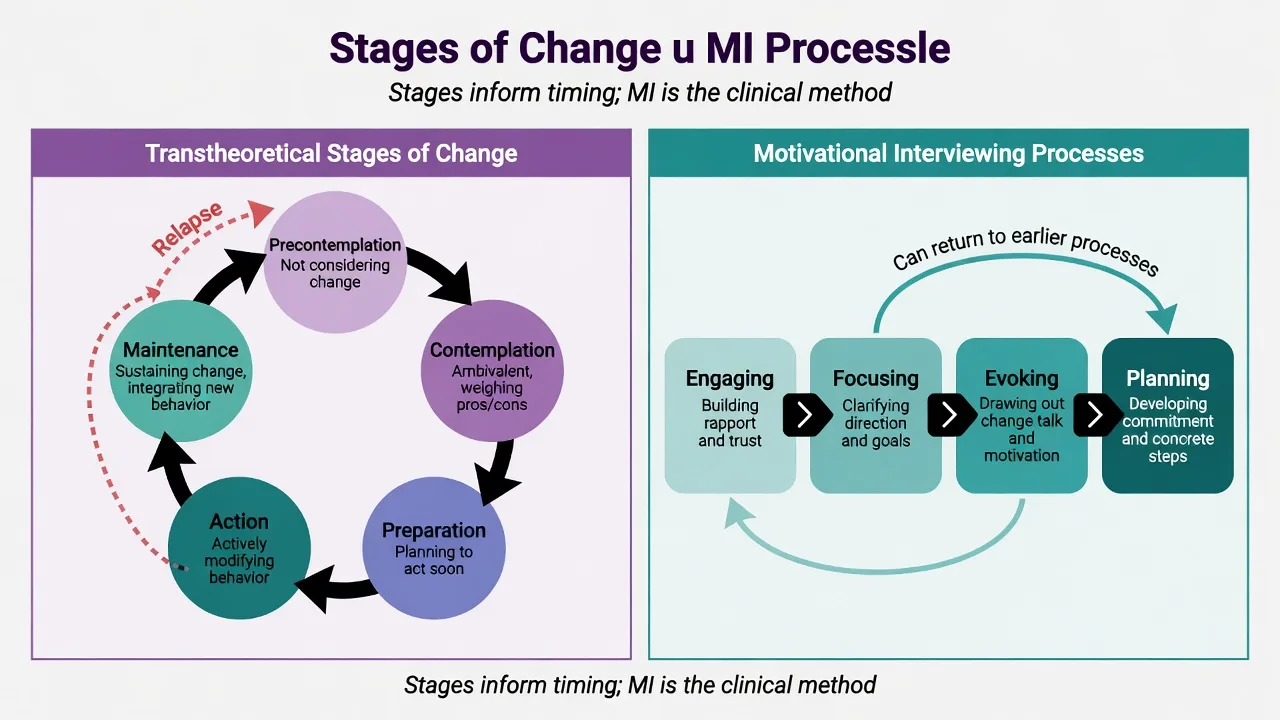 Left panel transtheoretical stages of change cycle; right panel MI processes Engaging Focusing Evoking Planning