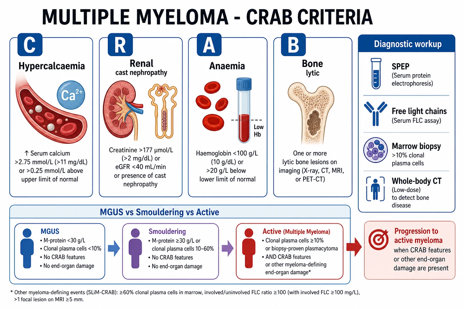 Clean infographic of the plasma-cell dyscrasia spectrum (MGUS, smouldering, symptomatic myeloma), CRAB criteria and the diagnostic workup