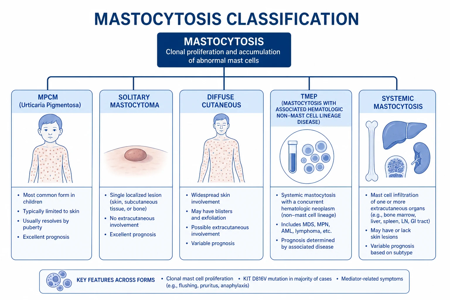 Comparison of irritant vs candidal vs seborrhoeic nappy dermatitis showing fold sparing vs fold involvement and satellite lesions