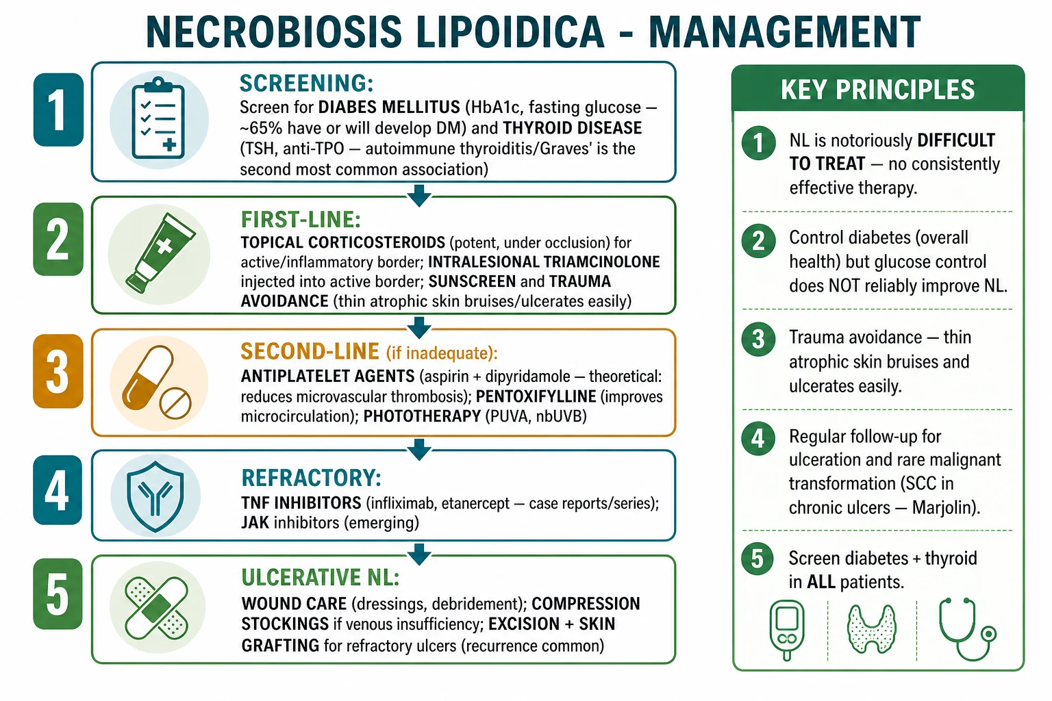 Management pathway for necrobiosis lipoidica including screening for diabetes and thyroid disease, first-line topical or intralesional corticosteroids, tacrolimus, antiplatelets, pentoxifylline, phototherapy, TNF inhibitors and ulcer care