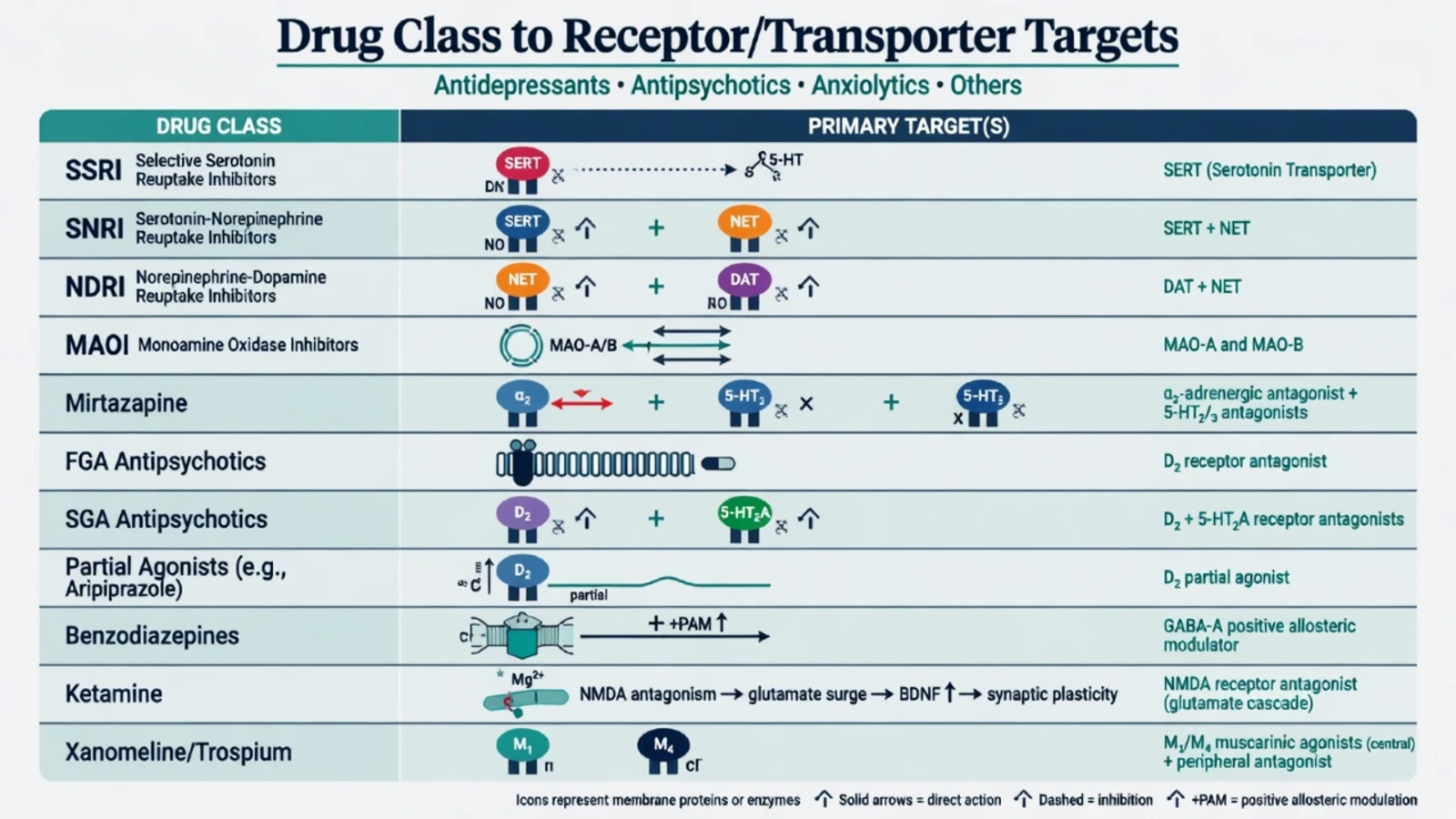 Drug classes mapped to transporters and receptors