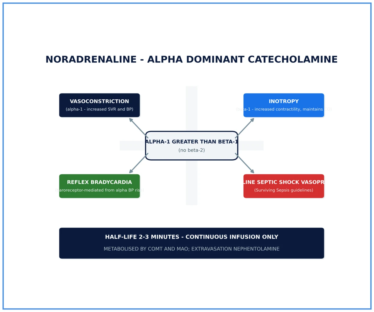 Noradrenaline receptor profile and haemodynamic effects