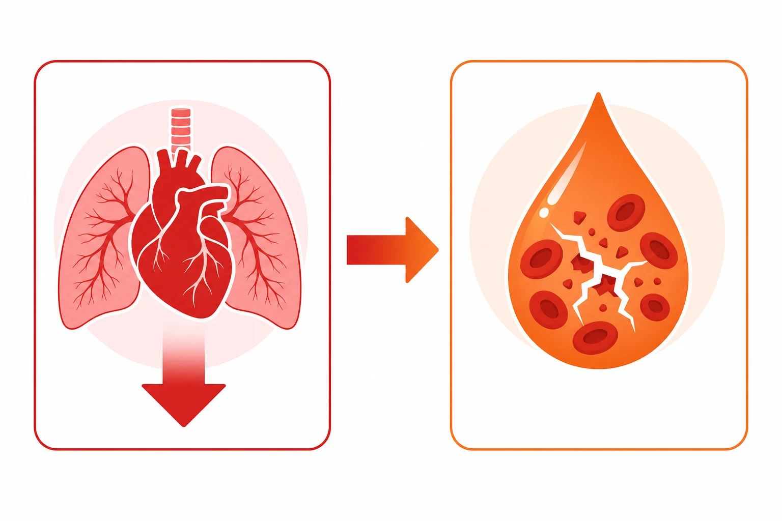 Two side-by-side panels separated by a rightward arrow: left red with a heart-and-lungs icon and downward arrow (phase 1 collapse); right orange with a blood-drop and fractured-clot mark (phase 2 coagulopathy)