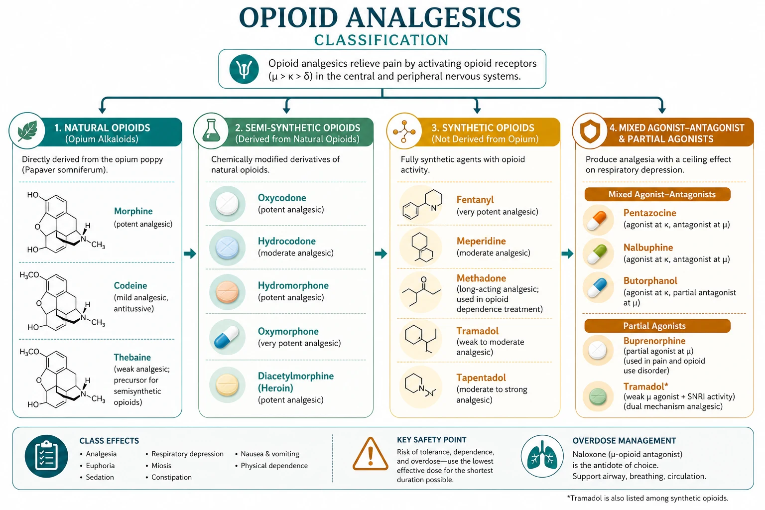 Opioid selection by kinetics