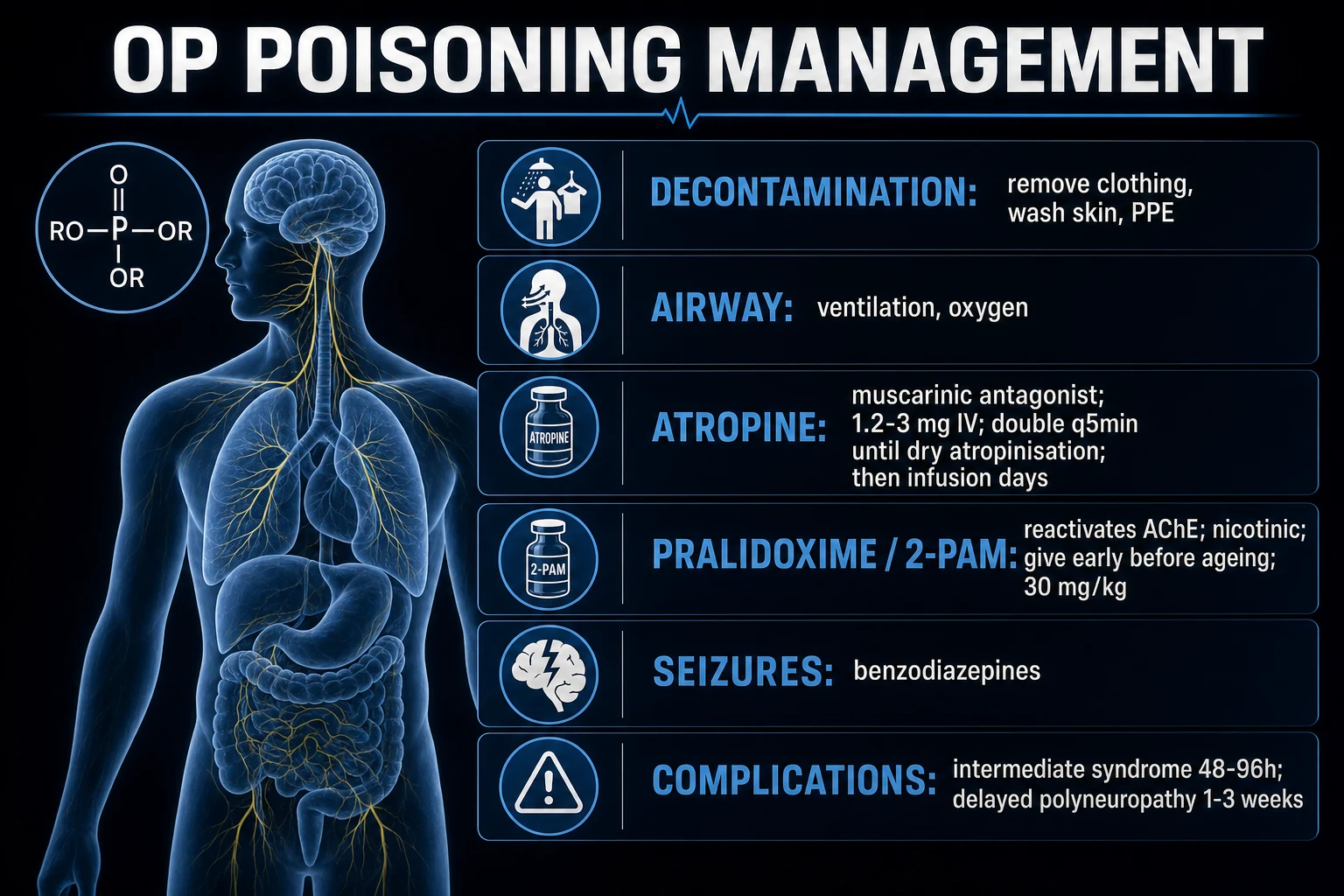 Management algorithm for OP poisoning: PPE decontamination, atropine titrated to dry secretions, pralidoxime loading and infusion, avoid succinylcholine, ventilatory support, watch intermediate syndrome, clinical educational