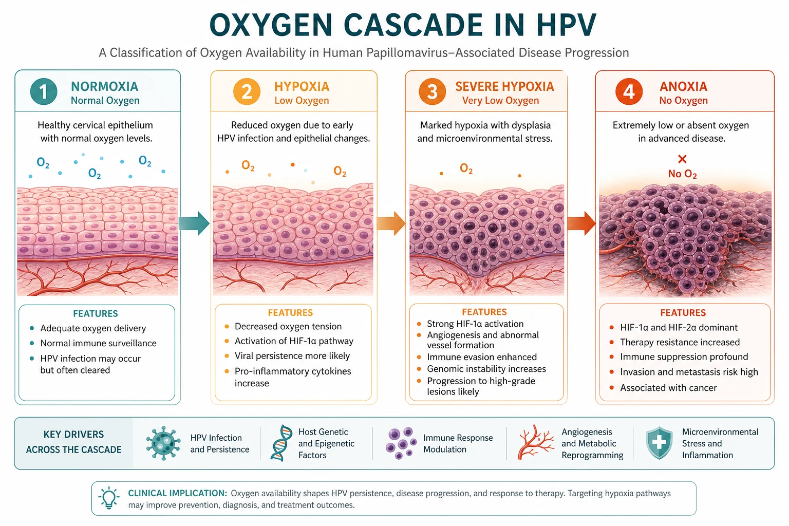 Classification of oxygen cascade steps and HPV modifiers