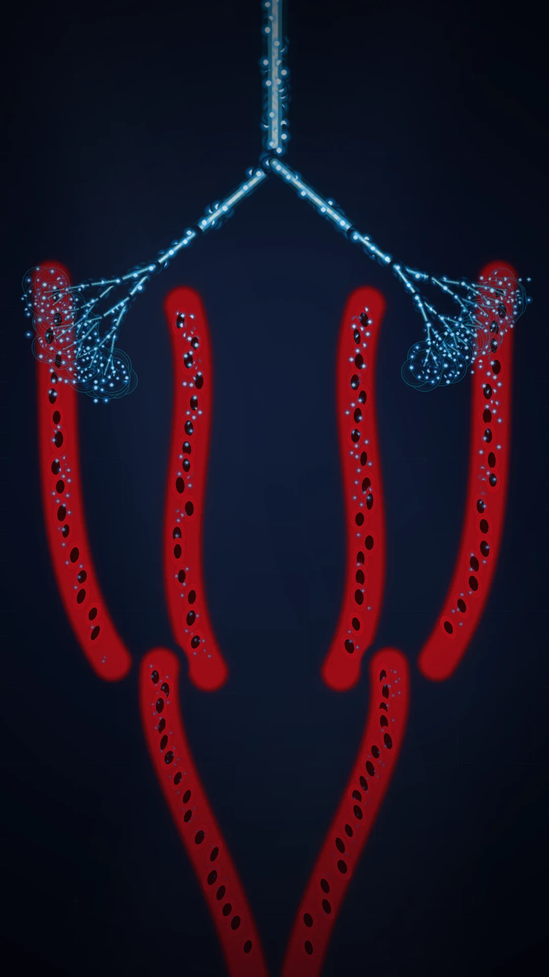 Oxygen partial pressure cascade from air to mitochondrion
