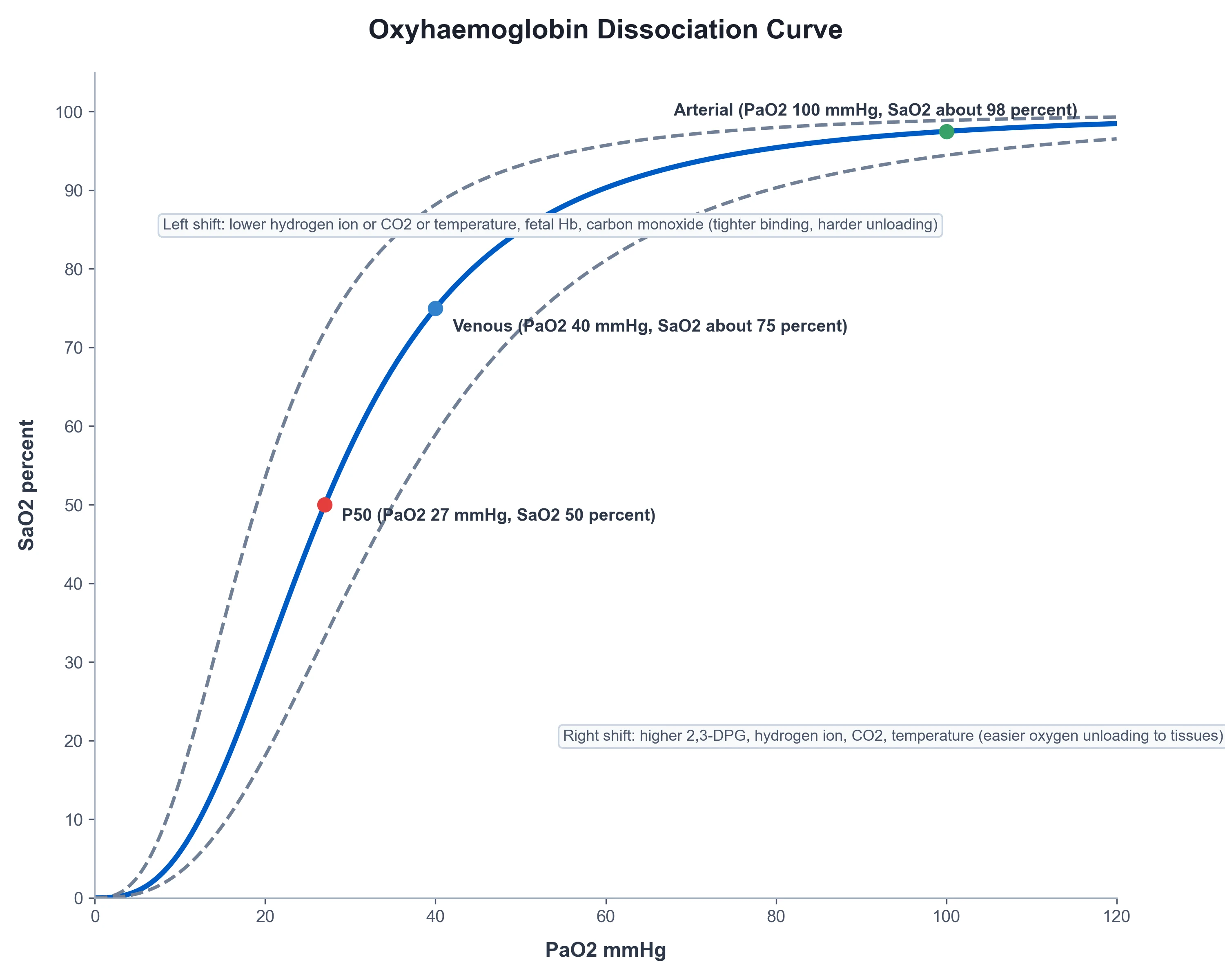 Oxyhaemoglobin dissociation curve diagram with right and left shift factors and P50 marked