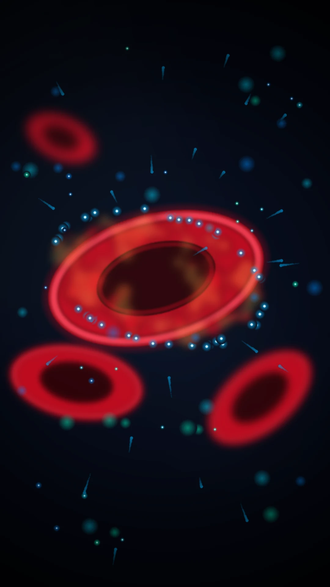 Oxygen binding to haemoglobin and delivery to tissues