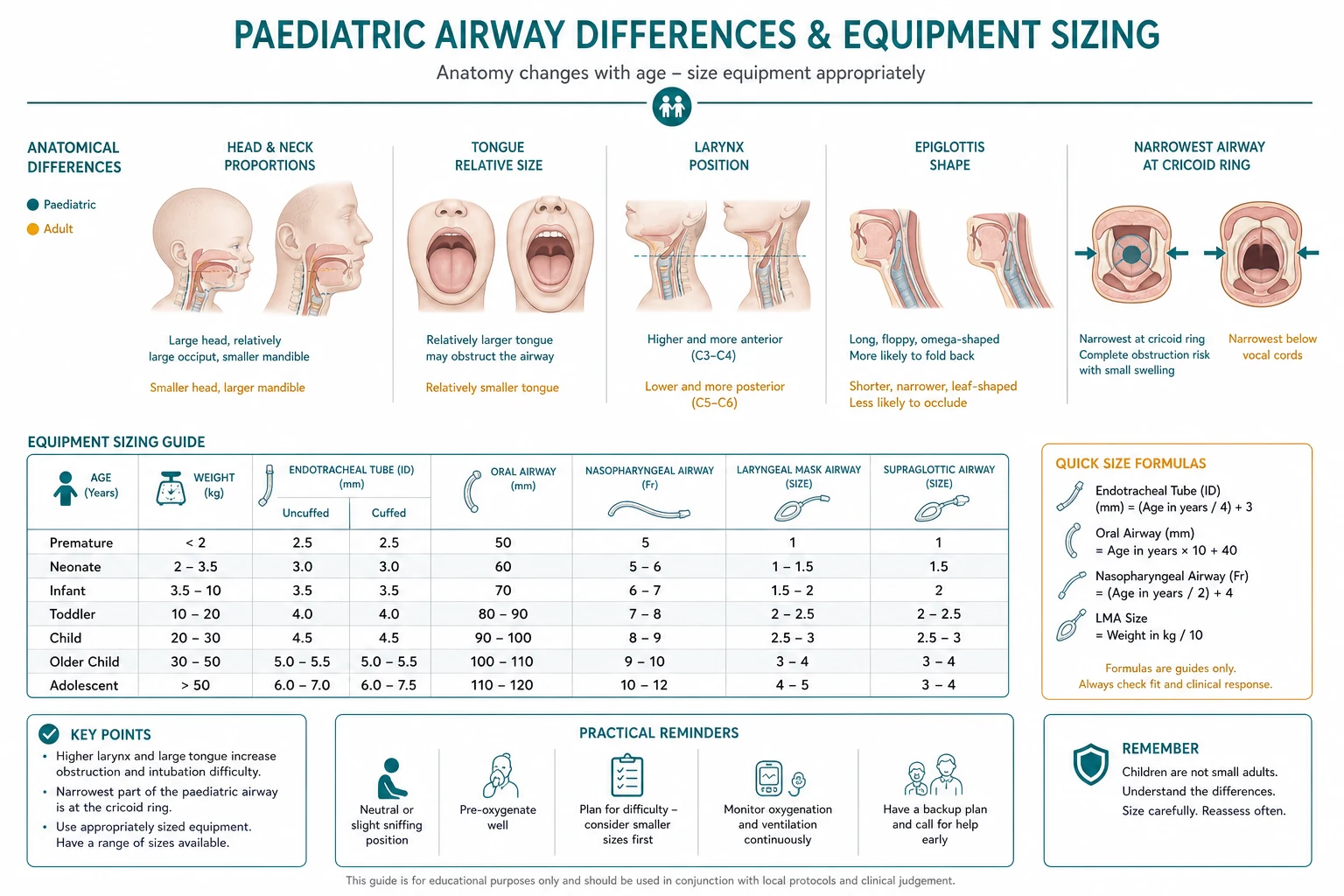 Sagittal comparison of infant and adult upper airway anatomy