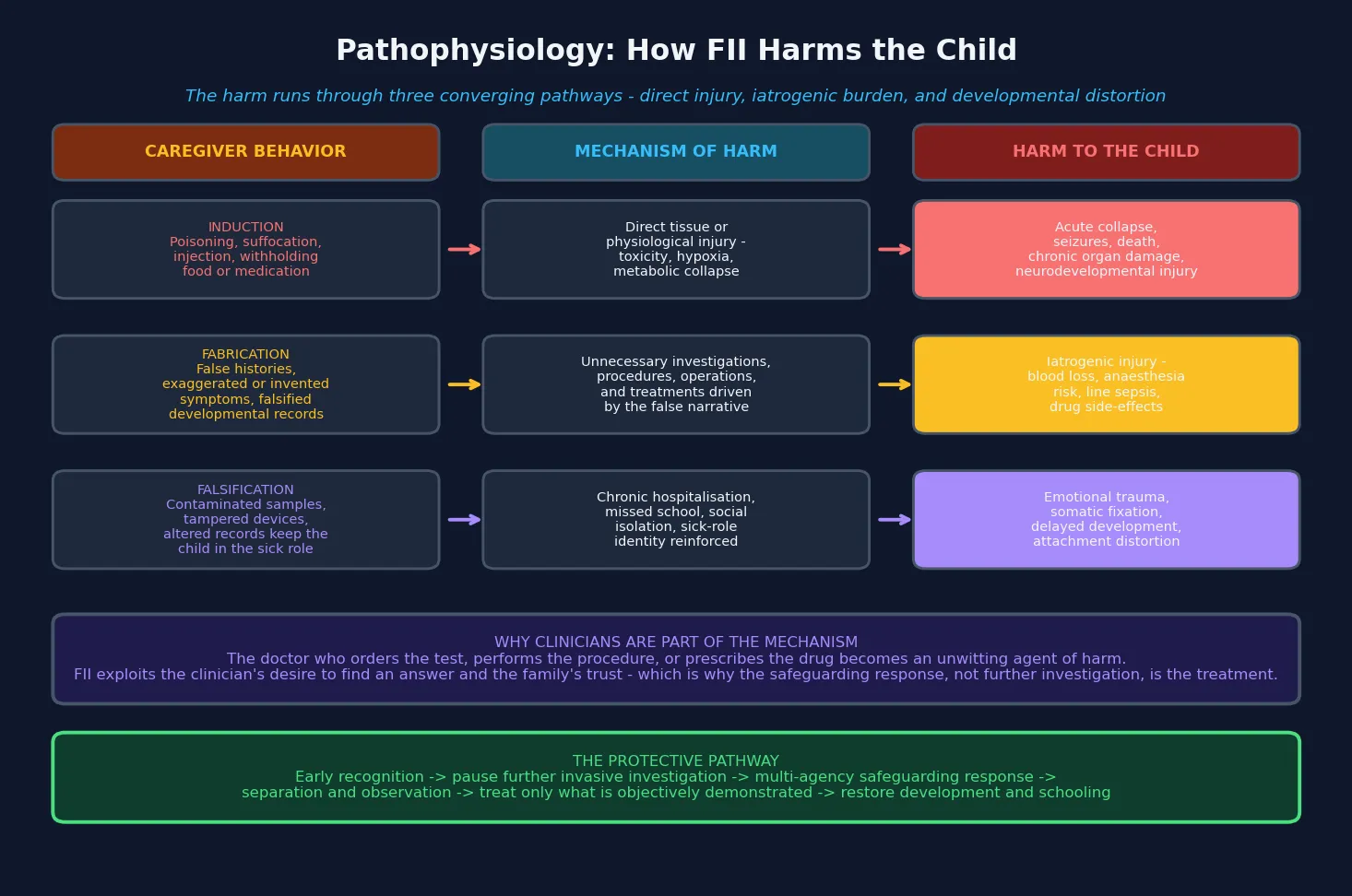 Mechanism diagram showing each caregiver behaviour (induction, fabrication, falsification) converging through a mechanism (direct tissue injury, unnecessary medical care, chronic hospitalisation and isolation) to a specific harm (acute collapse and organ damage, iatrogenic injury from tests and procedures, developmental distortion and emotional trauma), with a panel explaining why clinicians become unwitting agents of harm and the protective pathway from recognition through safeguarding to developmental recovery