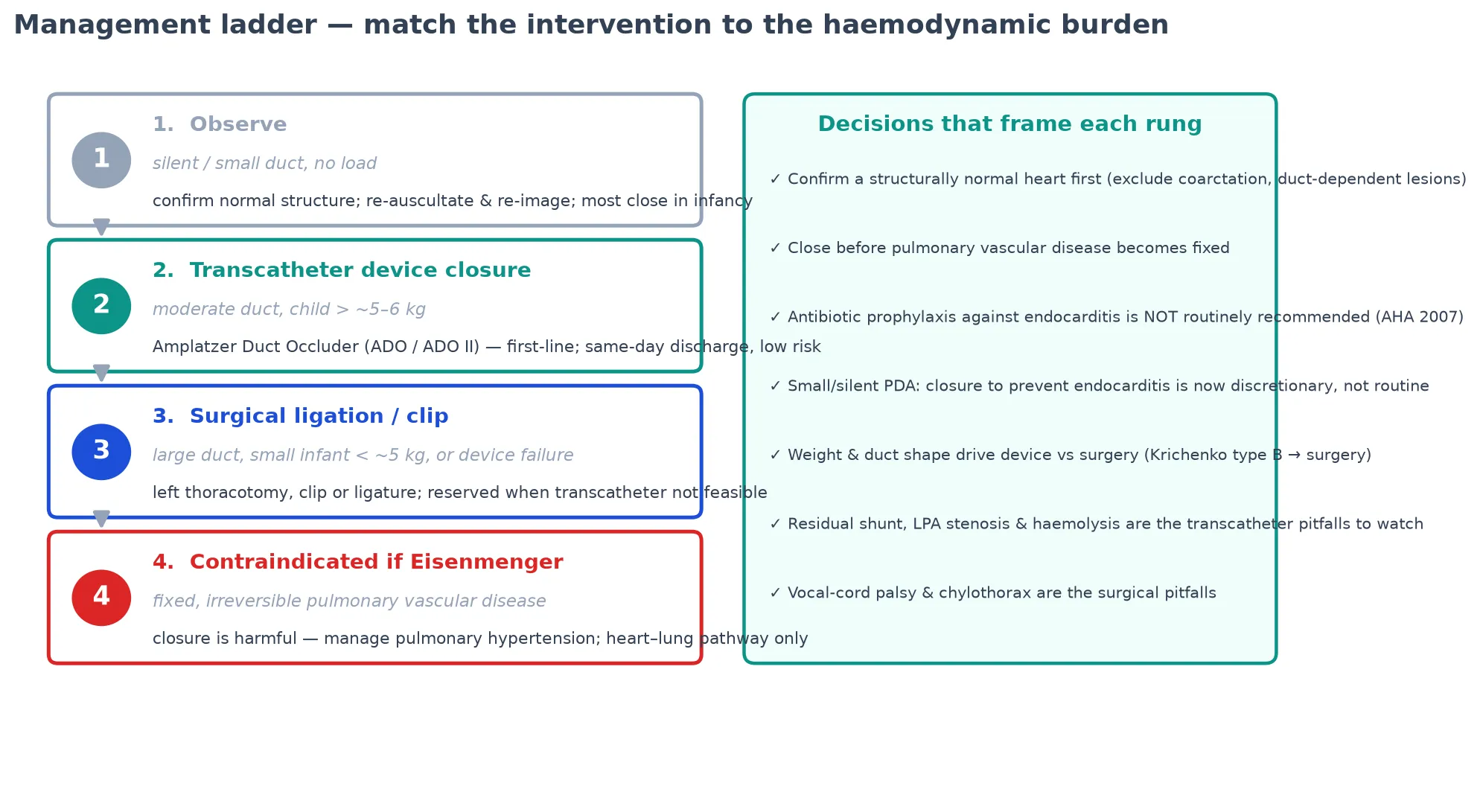 Educational flowchart of the PDA management ladder: observe the silent or small duct, transcatheter Amplatzer Duct Occluder closure for the moderate duct, surgical ligation or clip for the small or device-unfriendly duct, and the contraindication of closure once Eisenmenger physiology is established