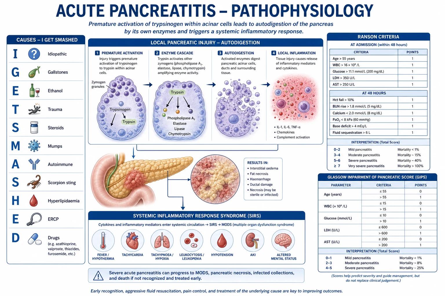 Local and systemic complications of severe acute pancreatitis