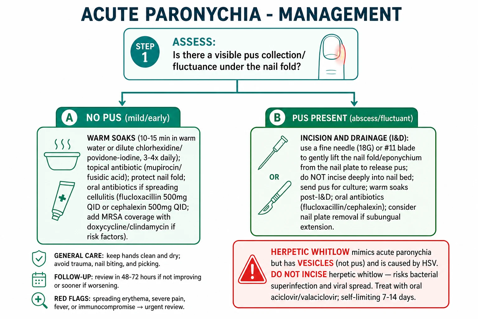 Acute paronychia bedside technique: warm saline soaks, incision along the longitudinal axis of the cuticle to release pus, oral flucloxacillin 500 mg QDS 5-7 days; subungual extension requires partial nail-plate avulsion