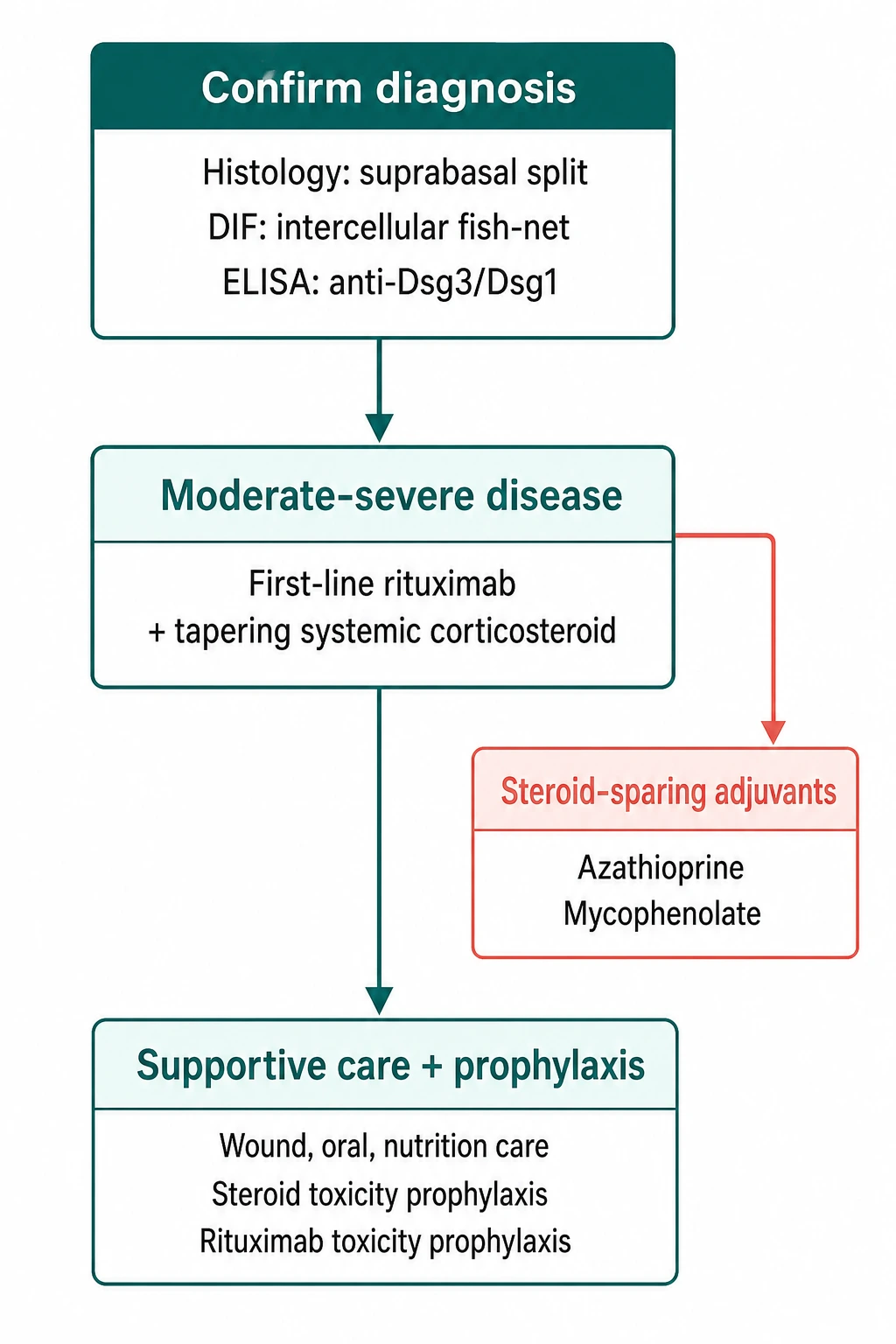 Pemphigus management algorithm: corticosteroids + rituximab first-line, rituximab monitoring for HBV/hypogammaglobulinaemia/PJP, escalation to cyclophosphamide/IVIG, paraneoplastic work-up