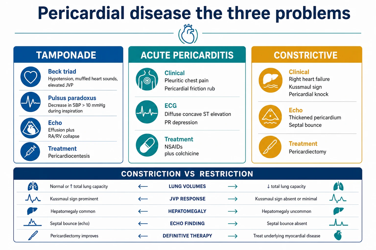Three-column infographic on a white clinical-blue background: TAMPONADE (Beck triad; pulsus paradoxus; echo: effusion plus RA/RV collapse; pericardiocentesis); ACUTE PERICARDITIS (pleuritic pain, friction rub; ECG: diffuse concave ST elevation plus PR depression; NSAIDs plus colchicine); CONSTRICTIVE (right heart failure, Kussmaul sign, pericardial knock; echo: thick pericardium, septal bounce; pericardiectomy); banner 'Constriction vs restriction'. Flat vector illustration, crisp typography.