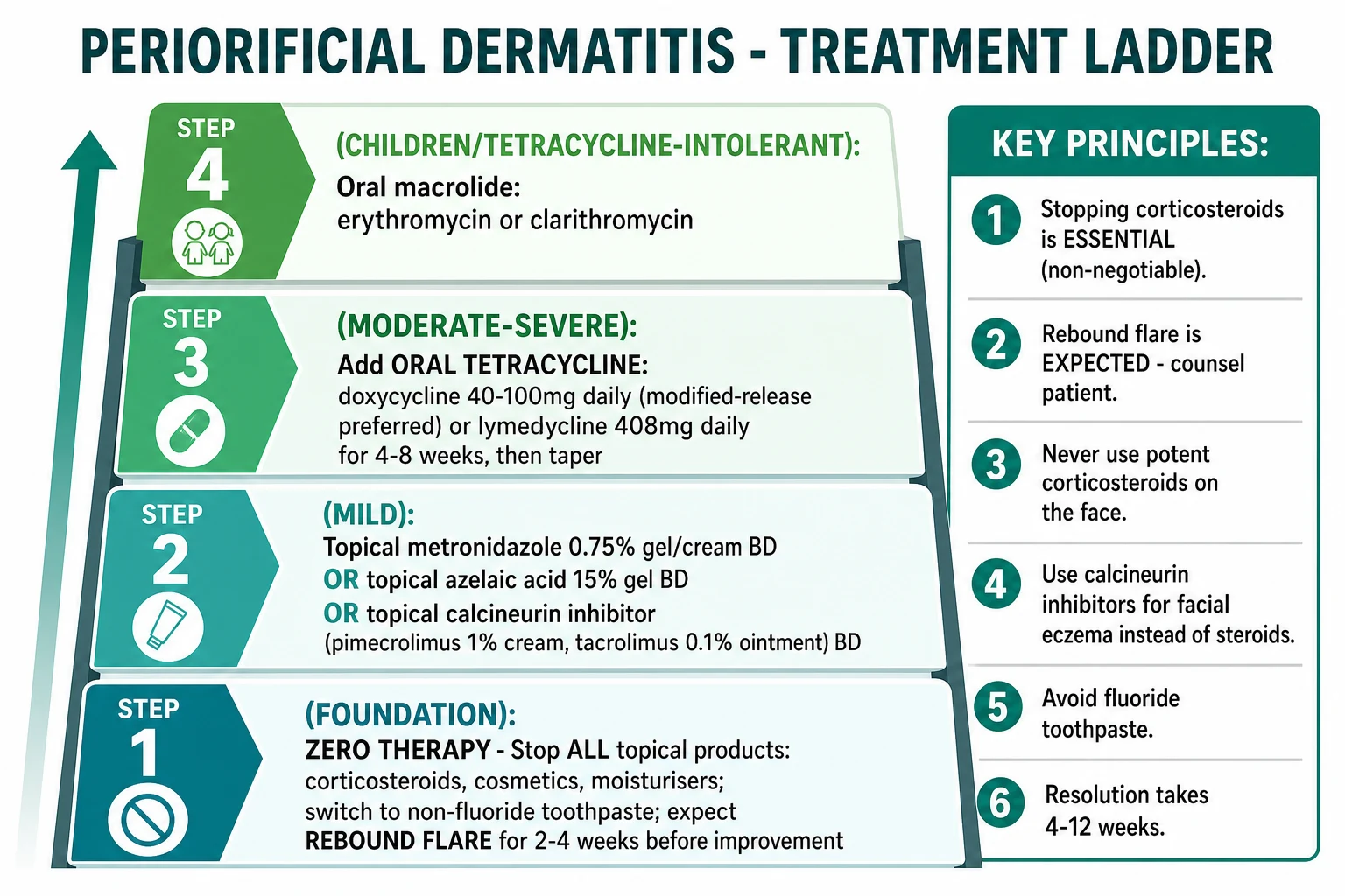 Treatment ladder for periorificial dermatitis: Step 1 ZERO THERAPY (stop all topical products, especially corticosteroids; switch to non-fluoride toothpaste; expect rebound flare 2-4 weeks) → Step 2 TOPICAL ANTI-INFLAMMATORY (metronidazole 0.75% BD, azelaic acid 15% BD, pimecrolimus 1% BD, tacrolimus 0.03-0.1% BD; 4-8 weeks) → Step 3 ORAL TETRACYCLINE for moderate-severe (doxycycline 100 mg BD or modified-release 40 mg daily; lymecycline 408 mg daily; minocycline 100 mg BD; 6-12 weeks) → Step 4 ORAL MACROLIDE for children, pregnancy, tetracycline-intolerance (erythromycin 250-500 mg BD; azithromycin 500 mg three times a week) → Step 5 REFRACTORY (low-dose isotretinoin 0.1-0.3 mg/kg/day for 3-6 months; topical roflumilast 0.3% emerging) → Step 6 MAINTENANCE (bland emollient, physical sunscreen, trigger avoidance, oral tetracycline taper)