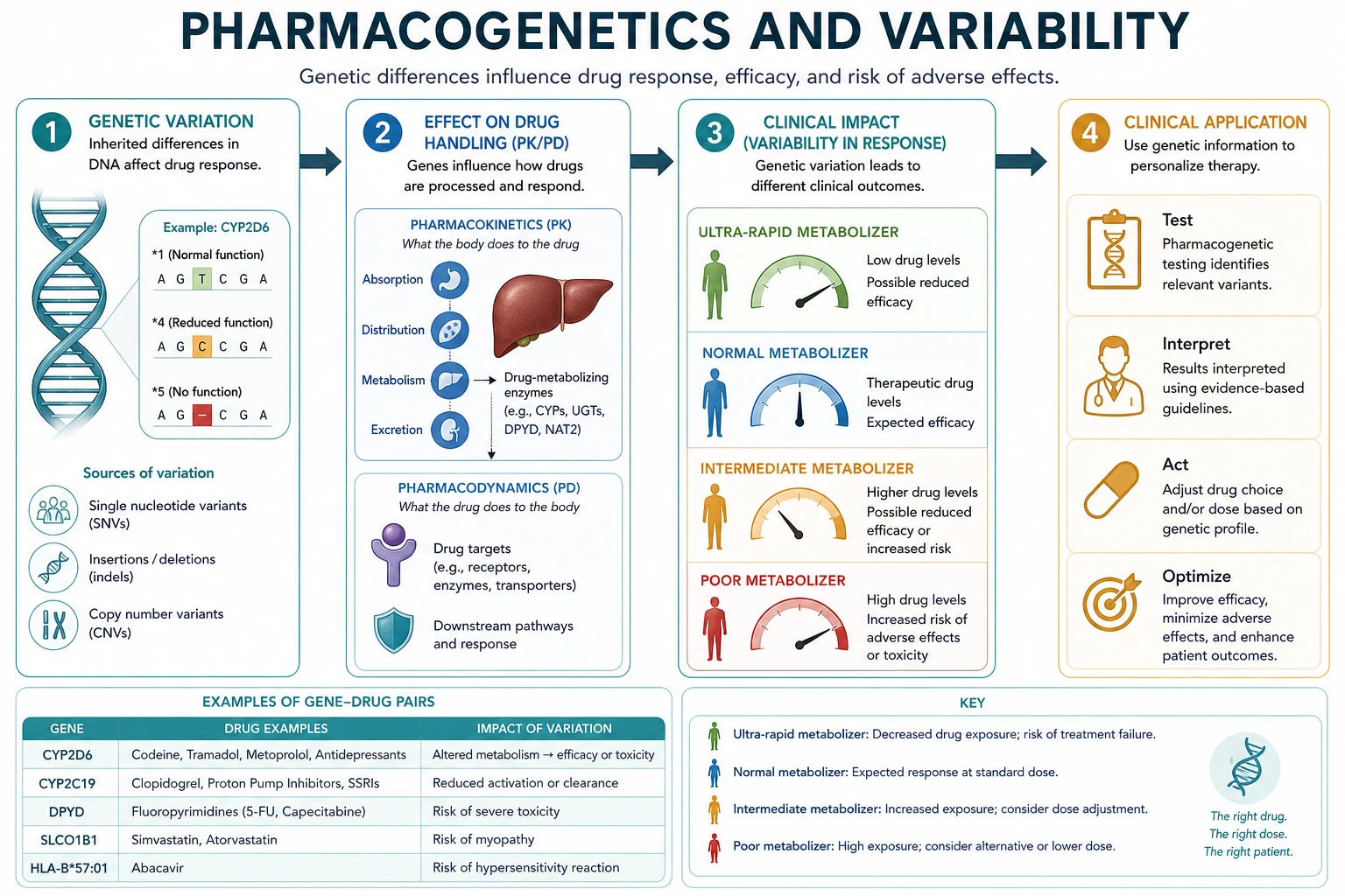 Classification of PK PD genetic variability