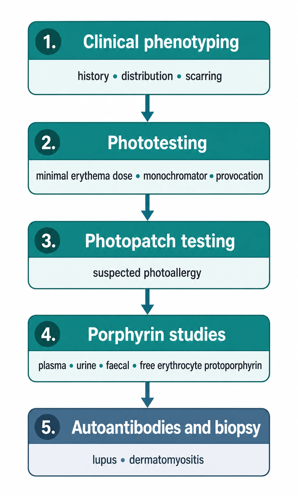 Flowchart of the photosensitivity diagnostic ladder from clinical assessment through phototesting (MED, monochromator), photopatch testing, porphyrin studies, autoantibodies, and biopsy