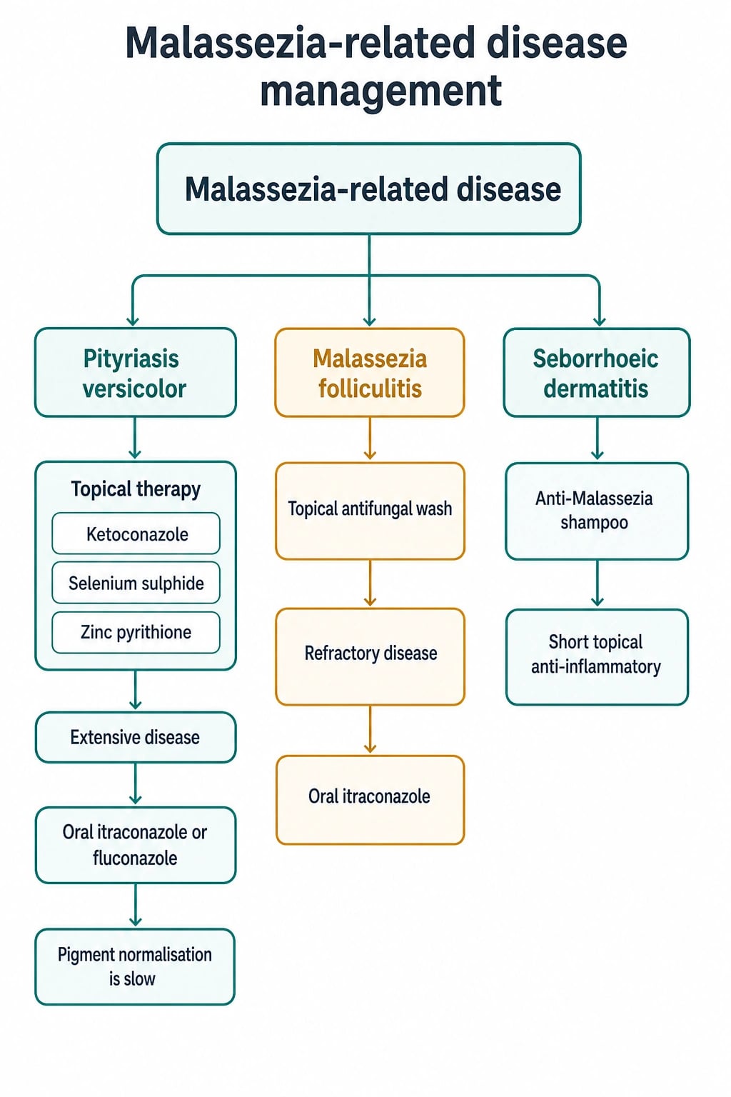 Stepwise treatment algorithm for Malassezia disease: topical ketoconazole or selenium sulfide first-line for pityriasis versicolor; oral itraconazole or fluconazole for extensive or recurrent disease; topical ketoconazole for Malassezia folliculitis; catheter removal plus amphotericin B for invasive disease; weekly maintenance ketoconazole shampoo for relapse prevention