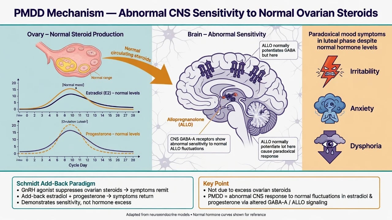 Normal ovarian steroid curves with abnormal CNS GABA-A and allopregnanolone sensitivity model for PMDD