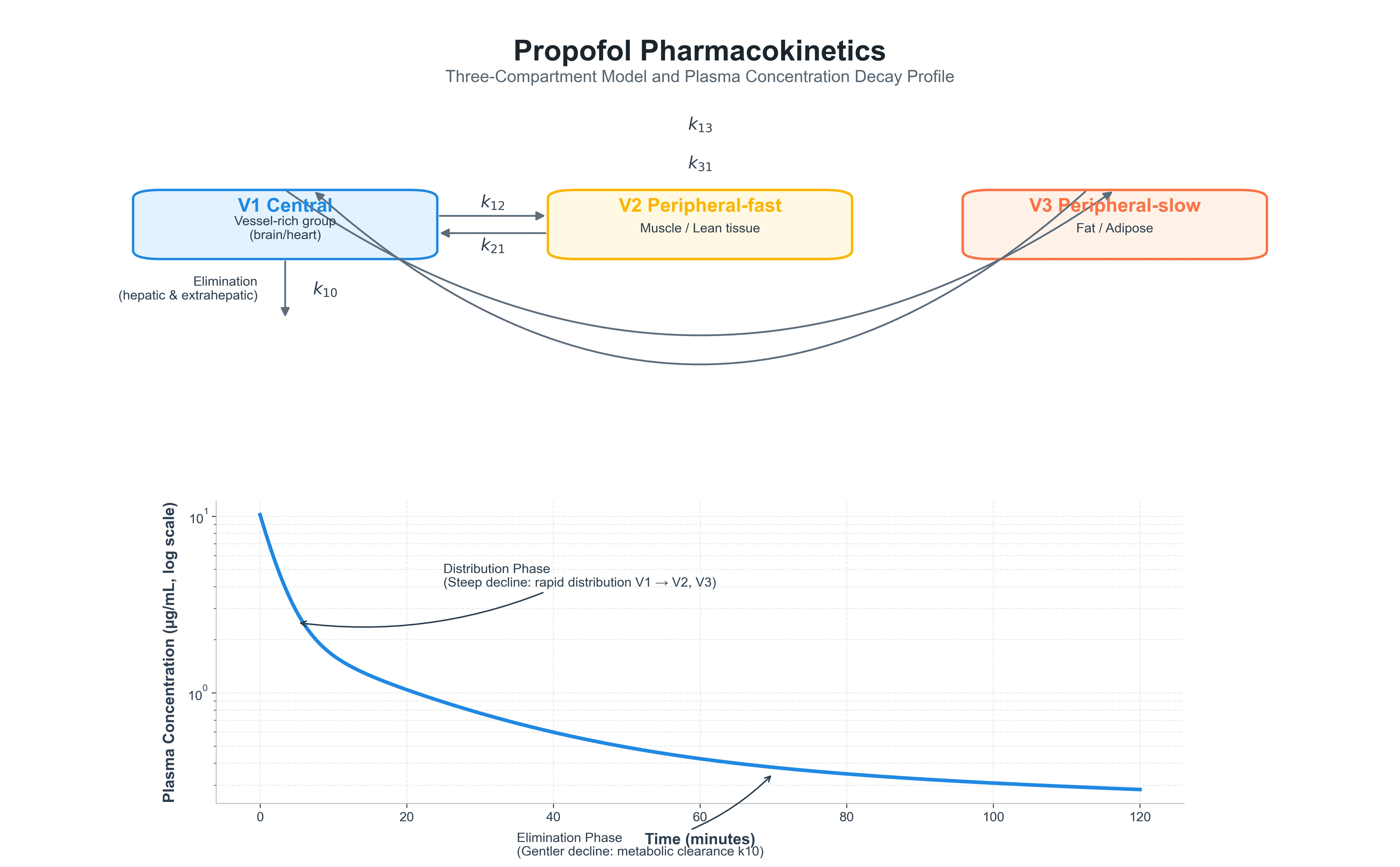 A clean clinical schematic of the three-compartment pharmacokinetic model for propofol: a central compartment V1 (plasma and vessel-rich organs including the brain) connected by rate constants k12 and k21 to a rapidly equilibrating peripheral compartment V2 (muscle), and by k13 and k31 to a slowly equilibrating peripheral compartment V3 (fat); elimination from V1 by k10 (hepatic and extrahepatic metabolism). White background, clinical-blue arrows.
