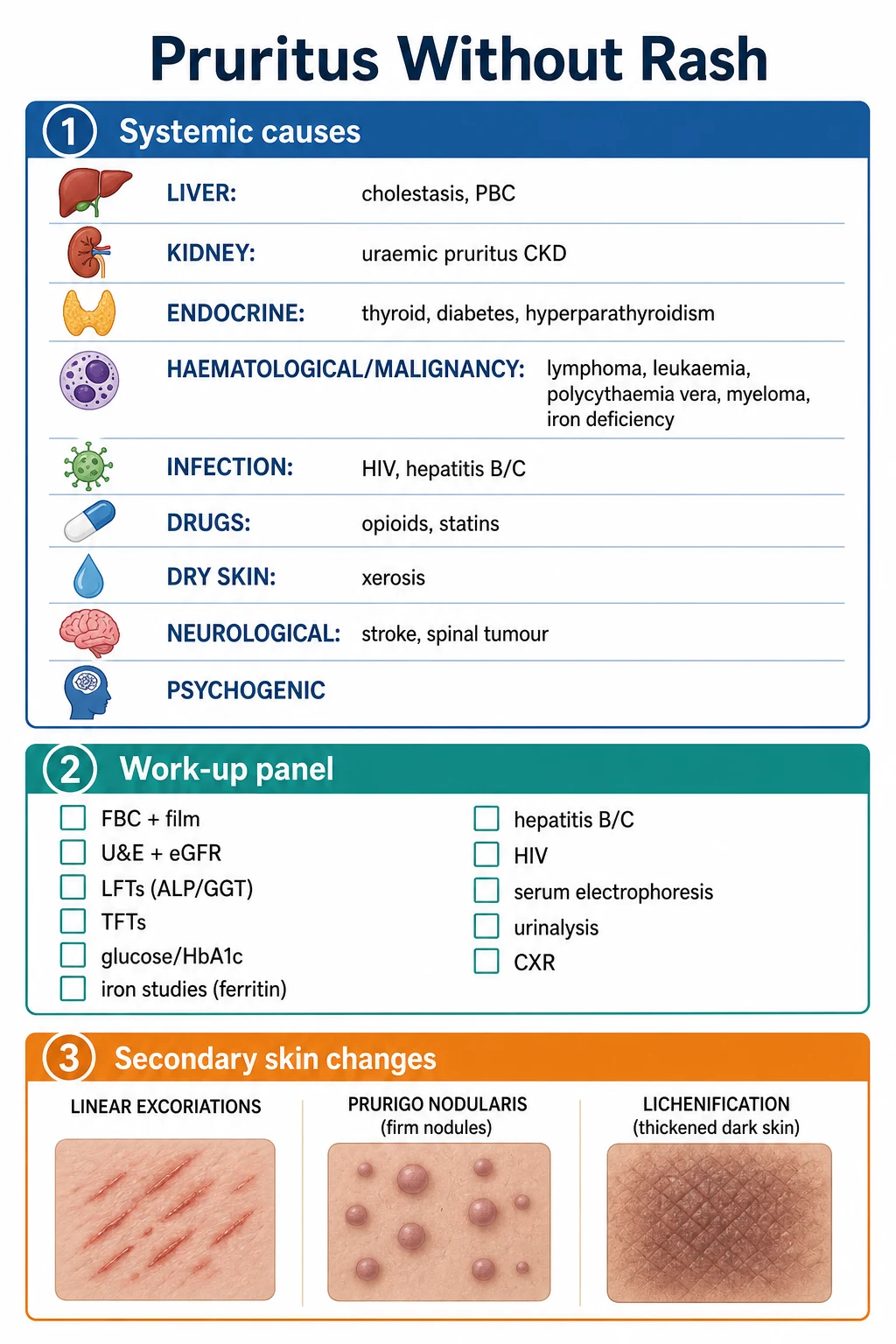 Three panels: systemic causes mnemonic (liver, kidney, endocrine, haematological, infection, drugs, xerosis, neuro, psychogenic); blood test work-up checklist; secondary skin changes (excoriations, prurigo nodularis, lichenification)