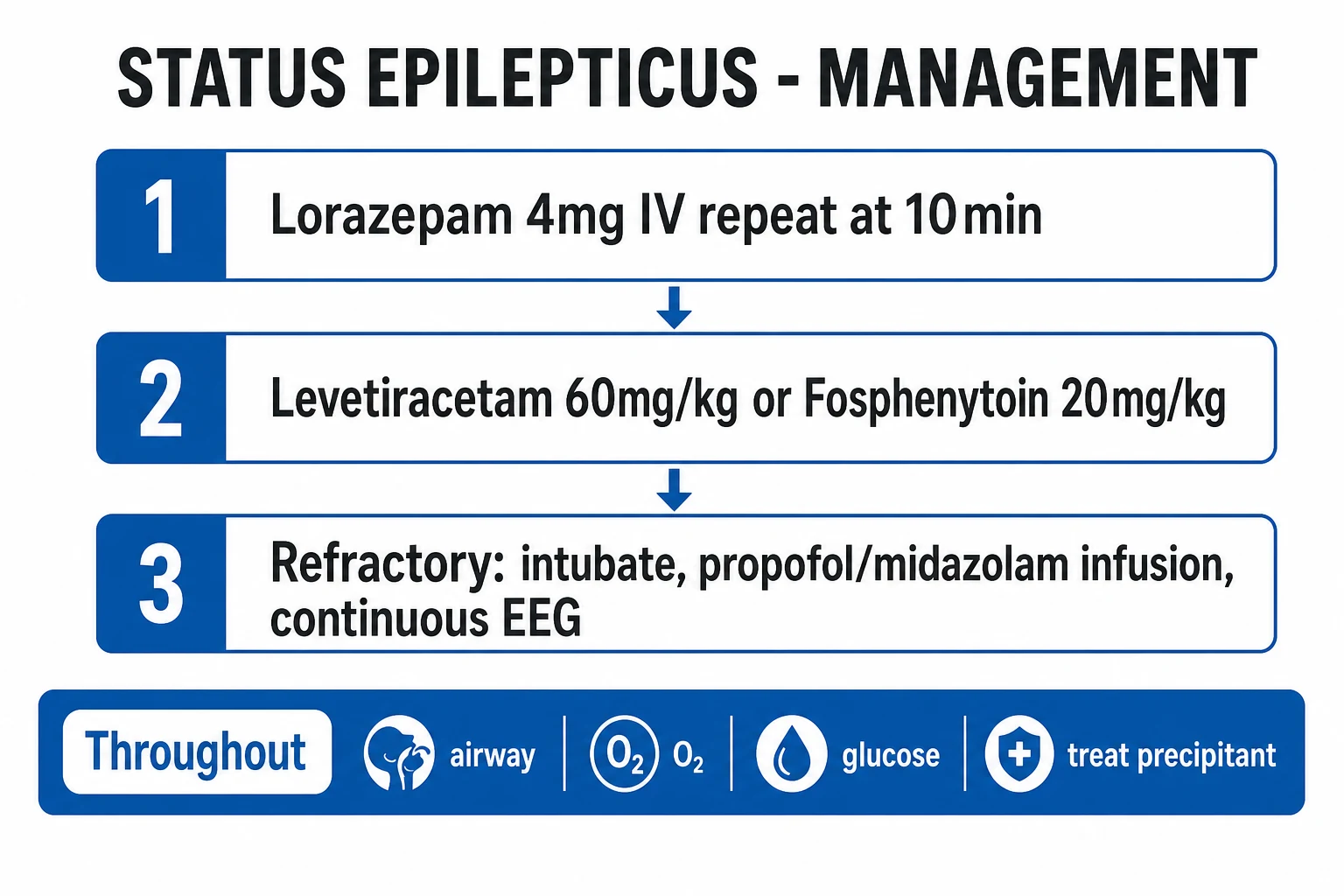 Management algorithm for refractory-status-epilepticus-anaesthetic-coma