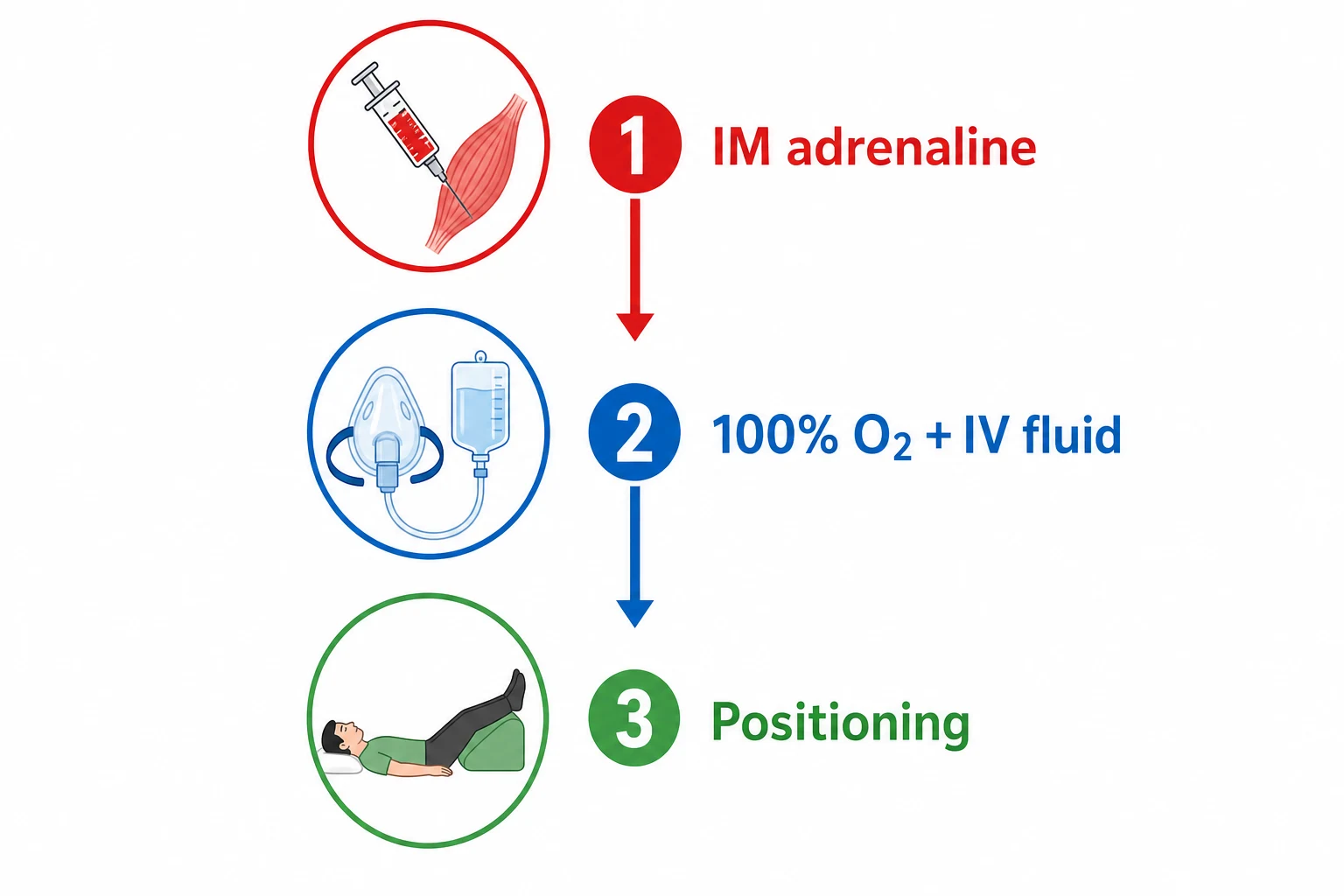 Vertical timeline with three numbered steps: IM adrenaline (red syringe), 100% O2 + IV fluid (blue mask), positioning (green legs-raised), on a white clinical-blue background