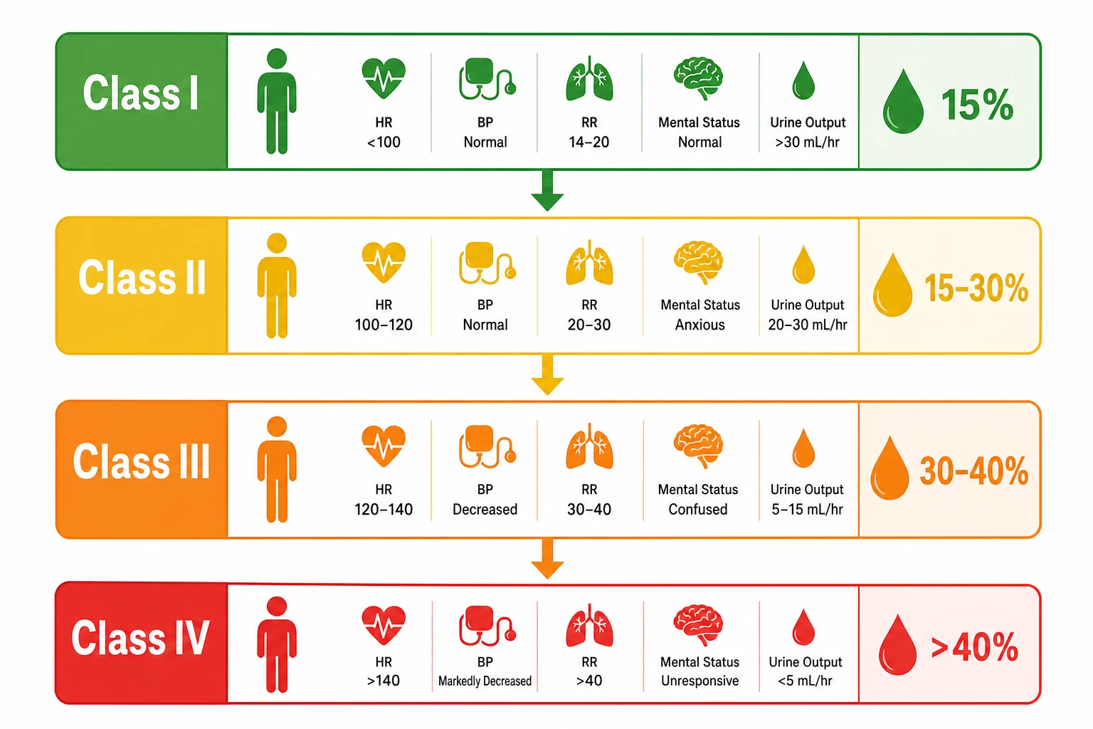Four descending panels: green (class I under 15 per cent), yellow (class II 15-30 per cent), orange (class III 30-40 per cent), red (class IV above 40 per cent), on a white clinical-blue background
