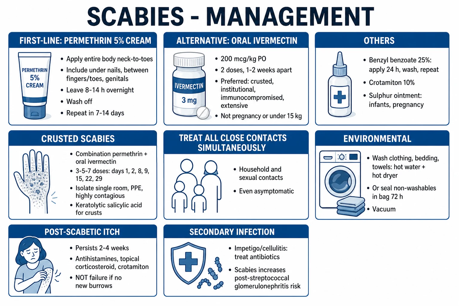 Management of scabies showing permethrin application, contact tracing, environmental decontamination, and follow-up