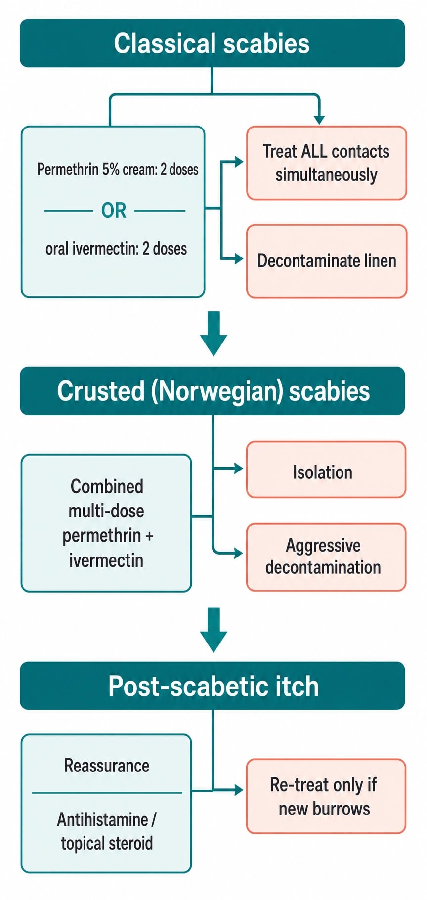 Flowchart of scabies management from first-line permethrin or ivermectin through simultaneous treatment of contacts and decontamination to combined multi-dose therapy for crusted scabies