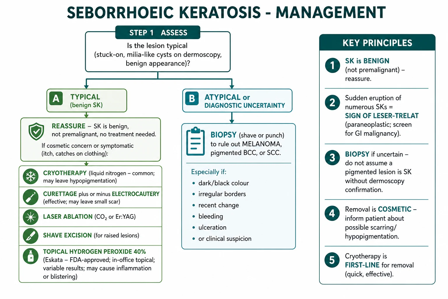 Decision tree: typical asymptomatic SK reassure; symptomatic or cosmetic SK remove by cryotherapy, curettage, shave excision, laser, or topical hydrogen peroxide 40%; atypical SK biopsy to exclude melanoma/BCC/SCC; sudden eruption screen for Sign of Leser-Trélat