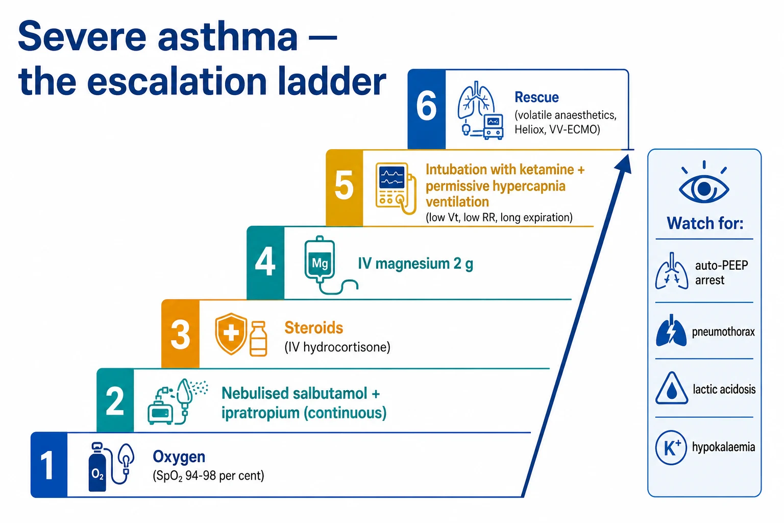 Rising-staircase infographic on a white clinical-blue background: step 1 Oxygen target SpO2 94-98%, step 2 Nebulised salbutamol 5 mg + ipratropium 0.5 mg (repeat or continuous), step 3 Steroids (prednisolone 40-50 mg or IV hydrocortisone 100 mg), step 4 IV magnesium 2 g over 20 min, step 5 IV salbutamol or aminophylline (second line), step 6 Intubation with ketamine + permissive-hypercapnia ventilation, step 7 Rescue therapy (sevoflurane, Heliox, VV-ECMO); side banner reading 'Watch for: auto-PEEP arrest, tension pneumothorax, lactic acidosis, hypokalaemia, myopathy'; flat vector illustration, crisp typography, clinical colour coding