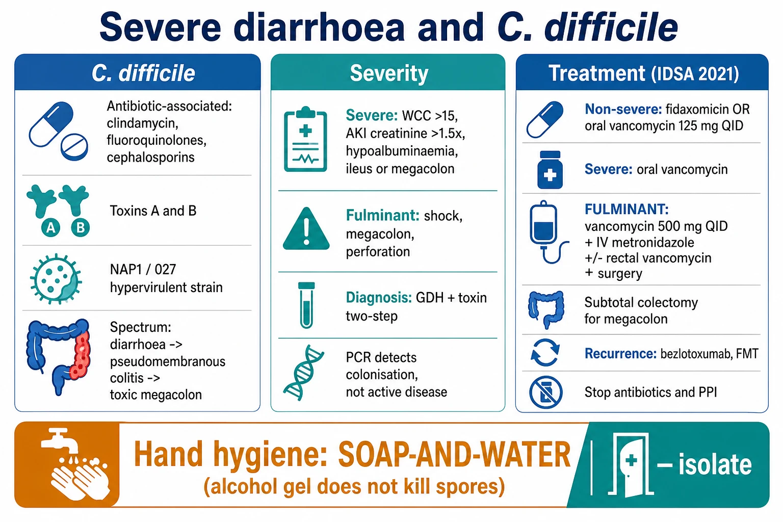 Three-panel infographic on a white clinical-blue background: LEFT C. difficile (antibiotic-associated clindamycin/fluoroquinolones/cephalosporins; toxins A and B; NAP1/027 hypervirulent; spectrum diarrhoea to pseudomembranous colitis to toxic megacolon); CENTRE severity (severe WCC over 15, AKI creatinine over 1.5x, hypoalbuminaemia, ileus/megacolon; fulminant shock/megacolon/perforation; diagnosis GDH + toxin two-step, PCR detects colonisation not active disease); RIGHT treatment IDSA 2021 (non-severe fidaxomicin OR oral vancomycin 125 mg QID; severe oral vancomycin; FULMINANT vancomycin 500 mg QID + IV metronidazole +/- rectal vancomycin + surgery subtotal colectomy; recurrence bezlotoxumab, FMT; stop antibiotics + PPI). Banner 'Hand hygiene SOAP-AND-WATER (alcohol gel does not kill spores) — isolate'. Flat vector illustration, crisp typography.