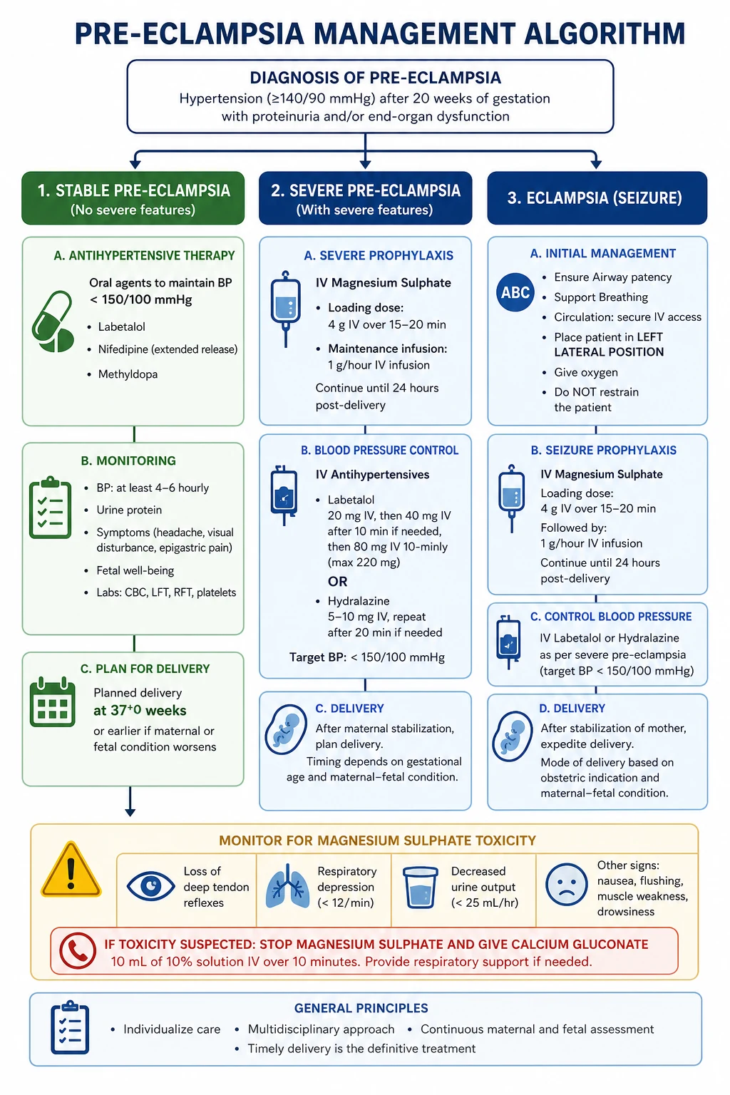 Management algorithm for severe pre-eclampsia/eclampsia/HELLP: magnesium sulphate, BP control, delivery, coagulopathy correction, clinical educational